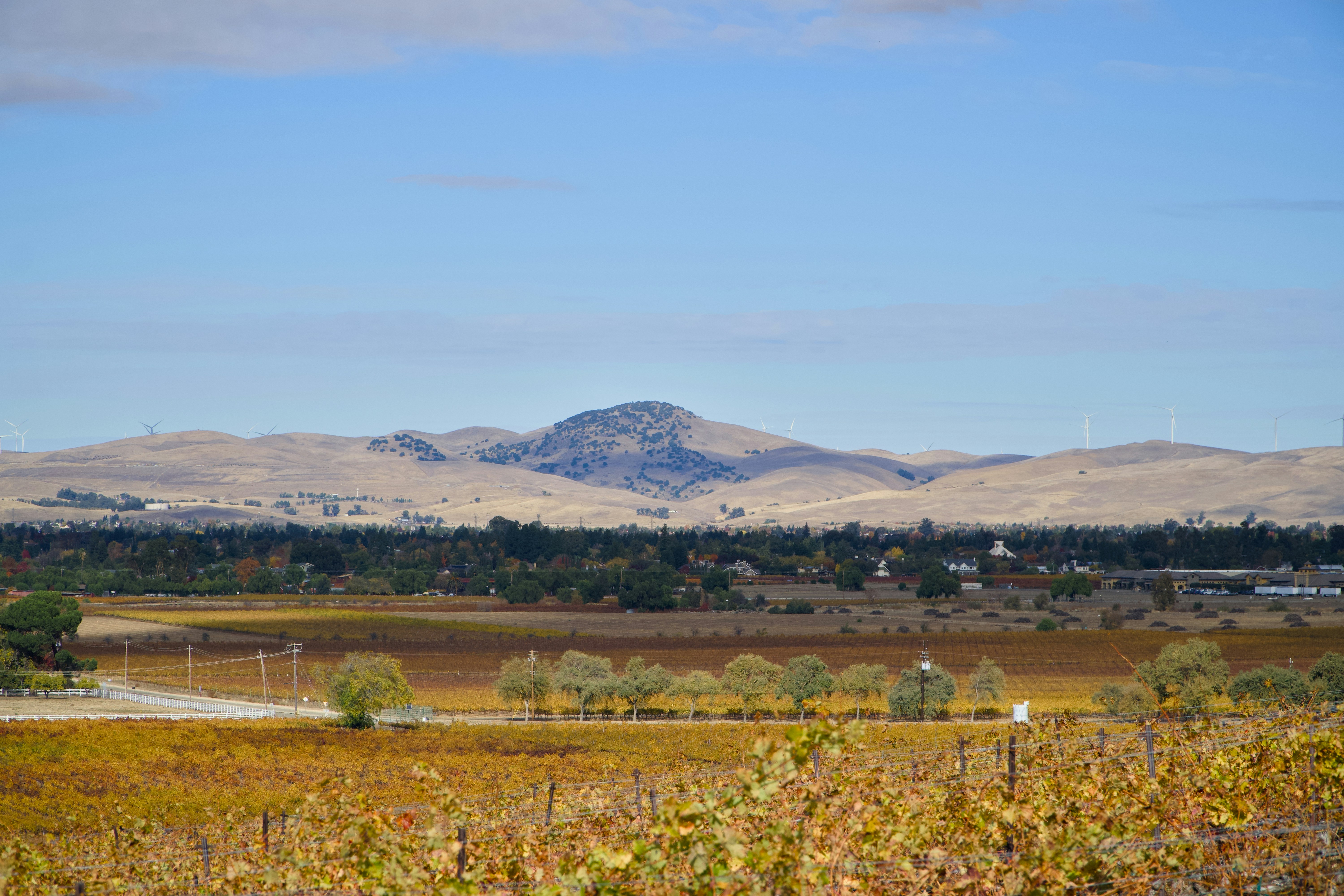 Photo by spencer_demera