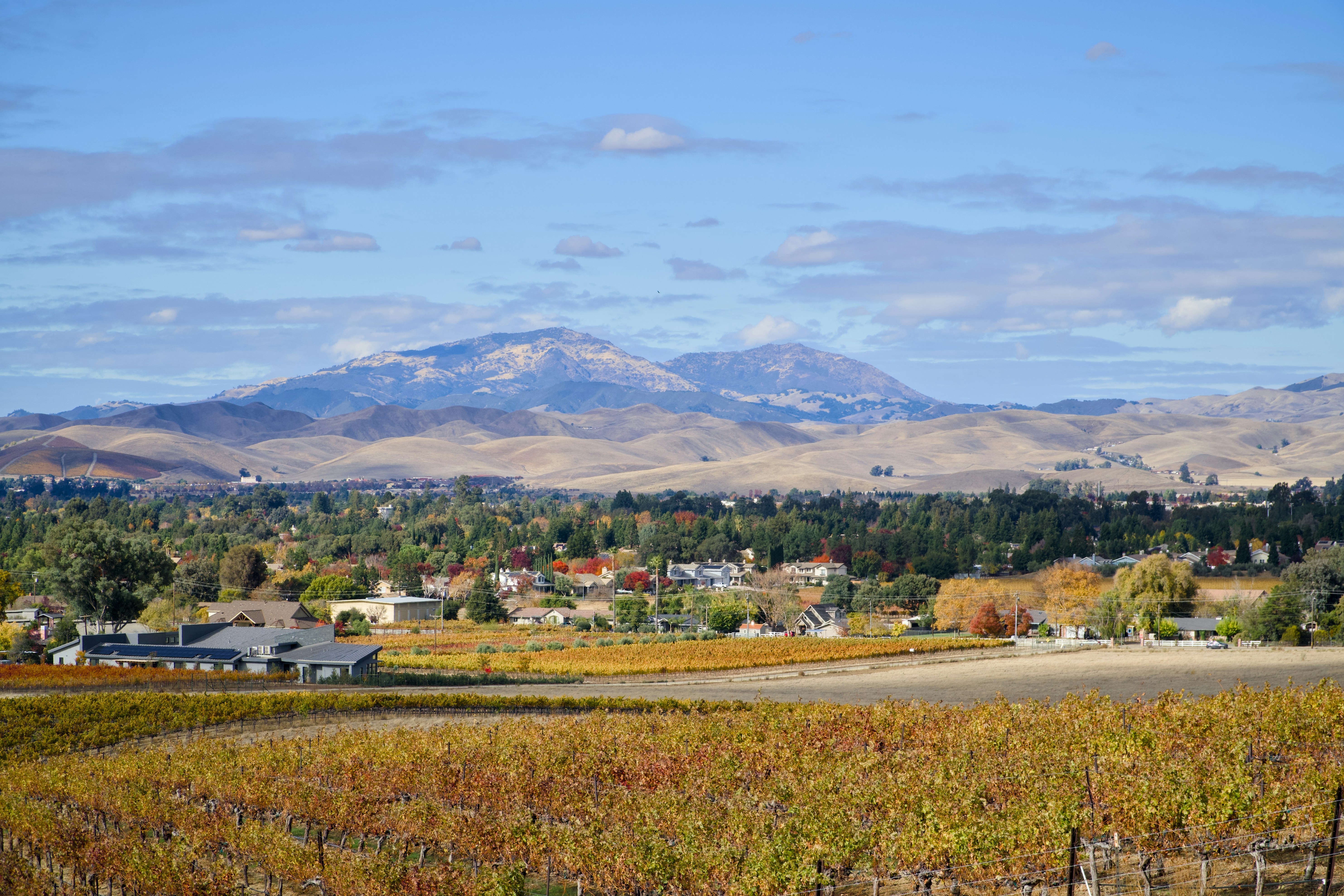 Photo by spencer_demera