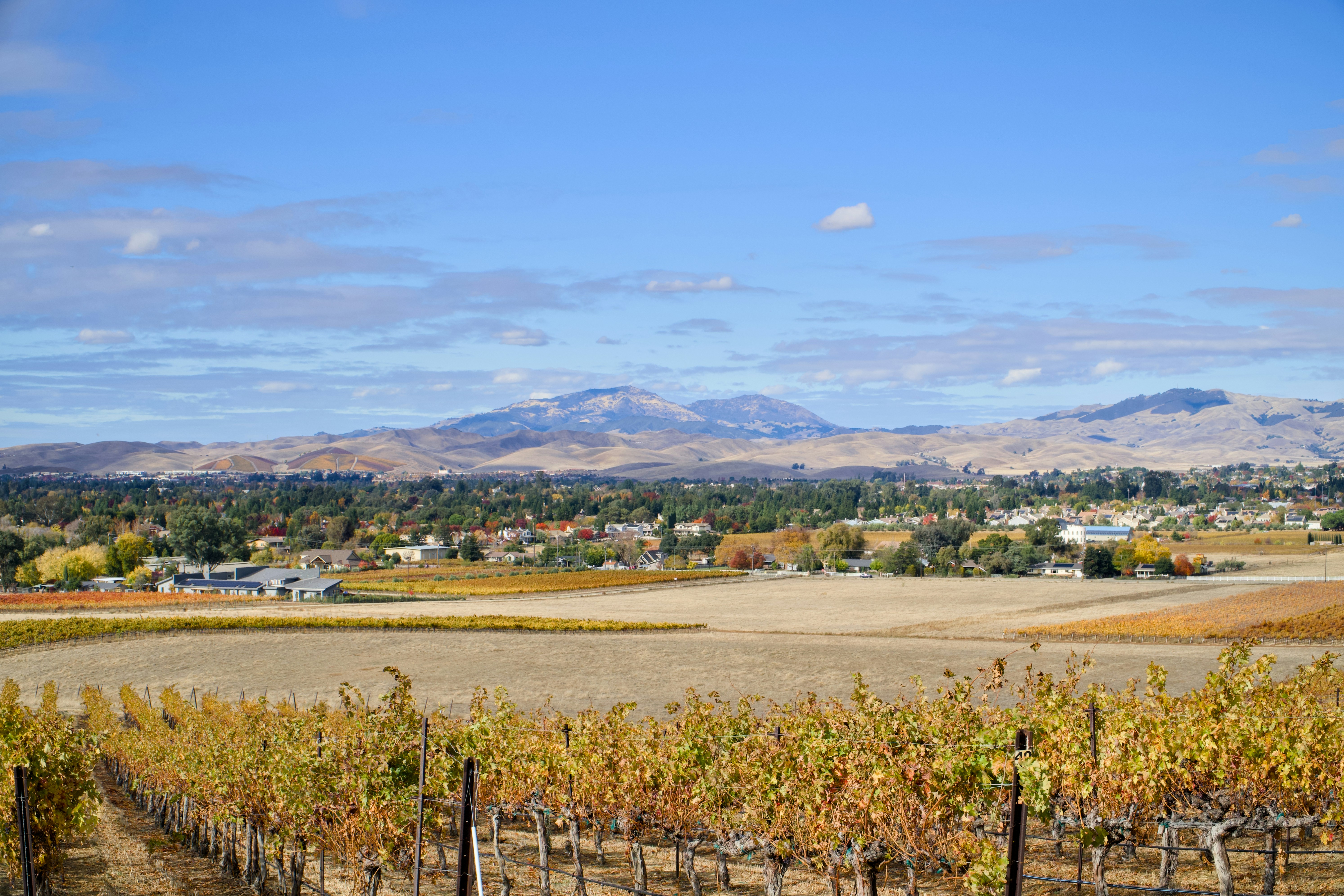 Photo by spencer_demera