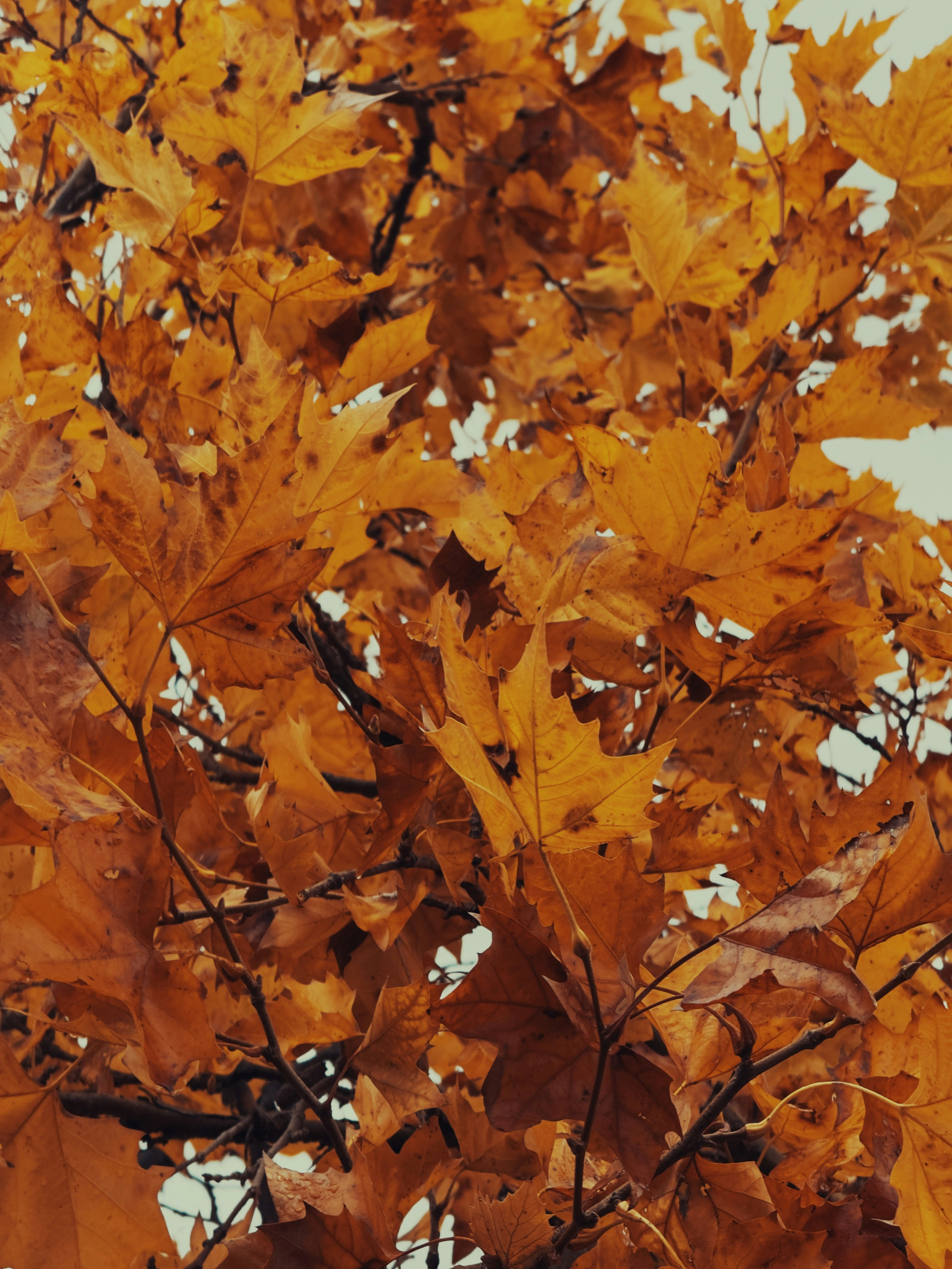 Photo by spencer_demera