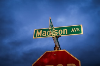A red stop sign sitting under a green street sign