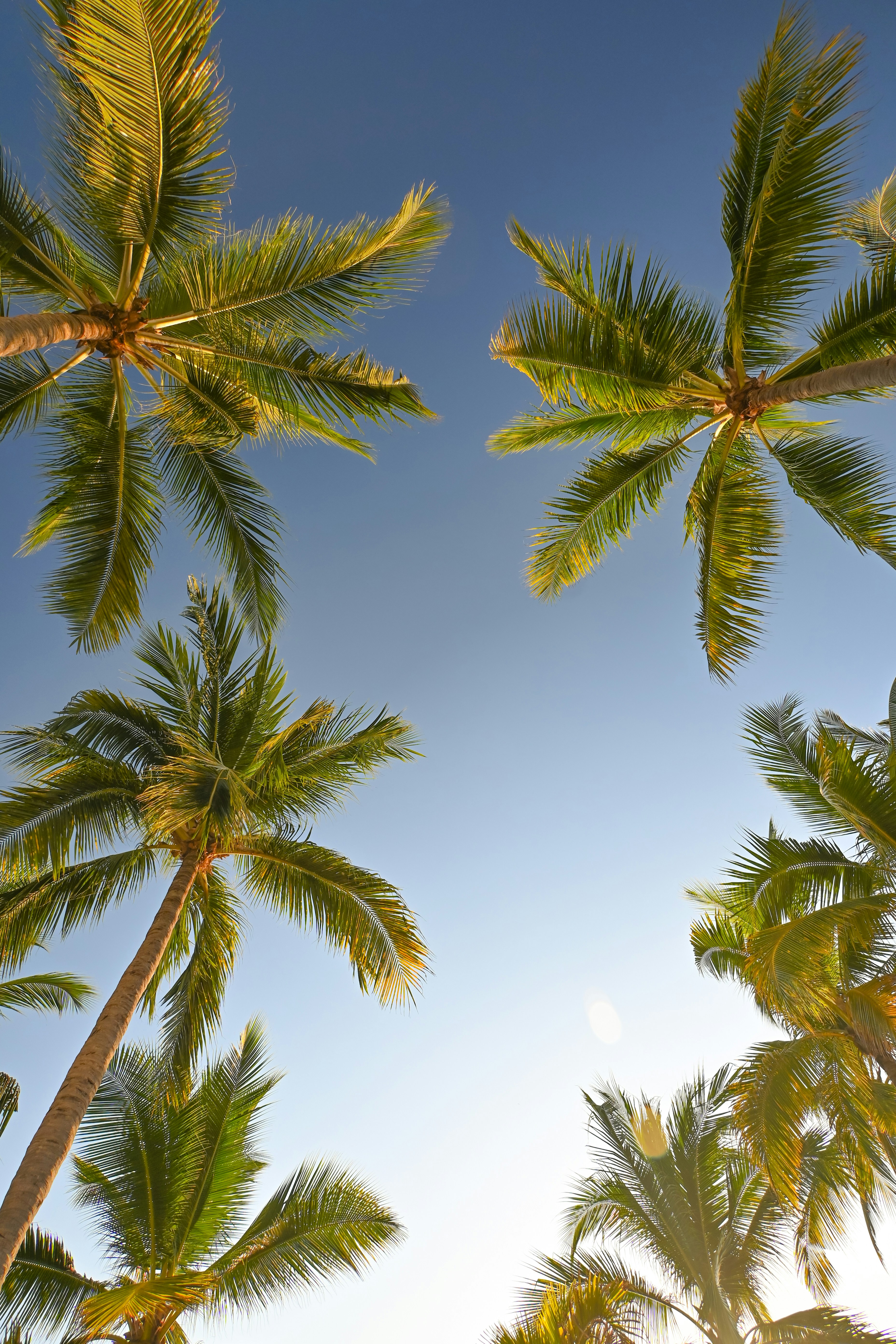 Photo by ondrejbocek