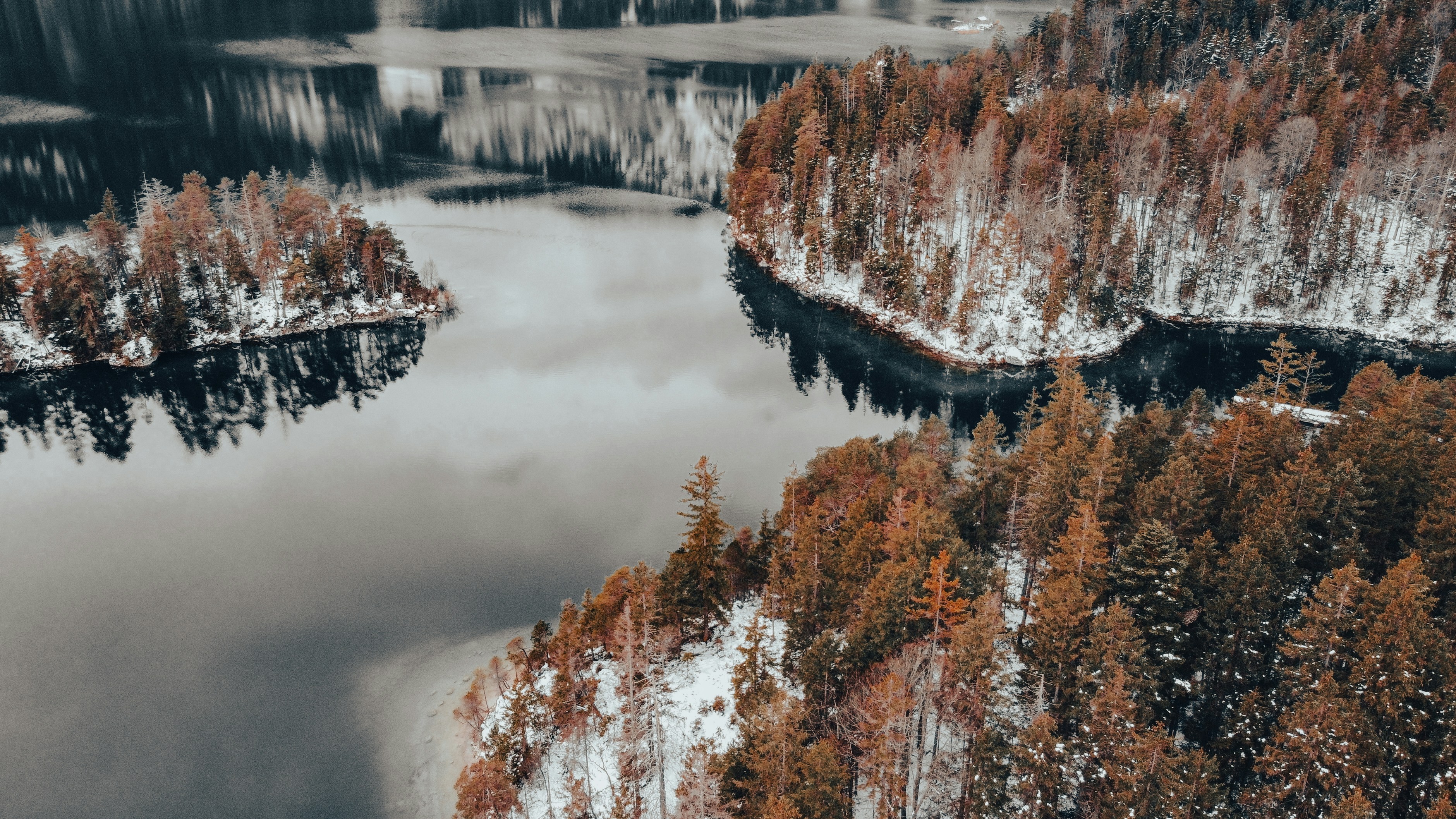 Photo by shutter_speed_