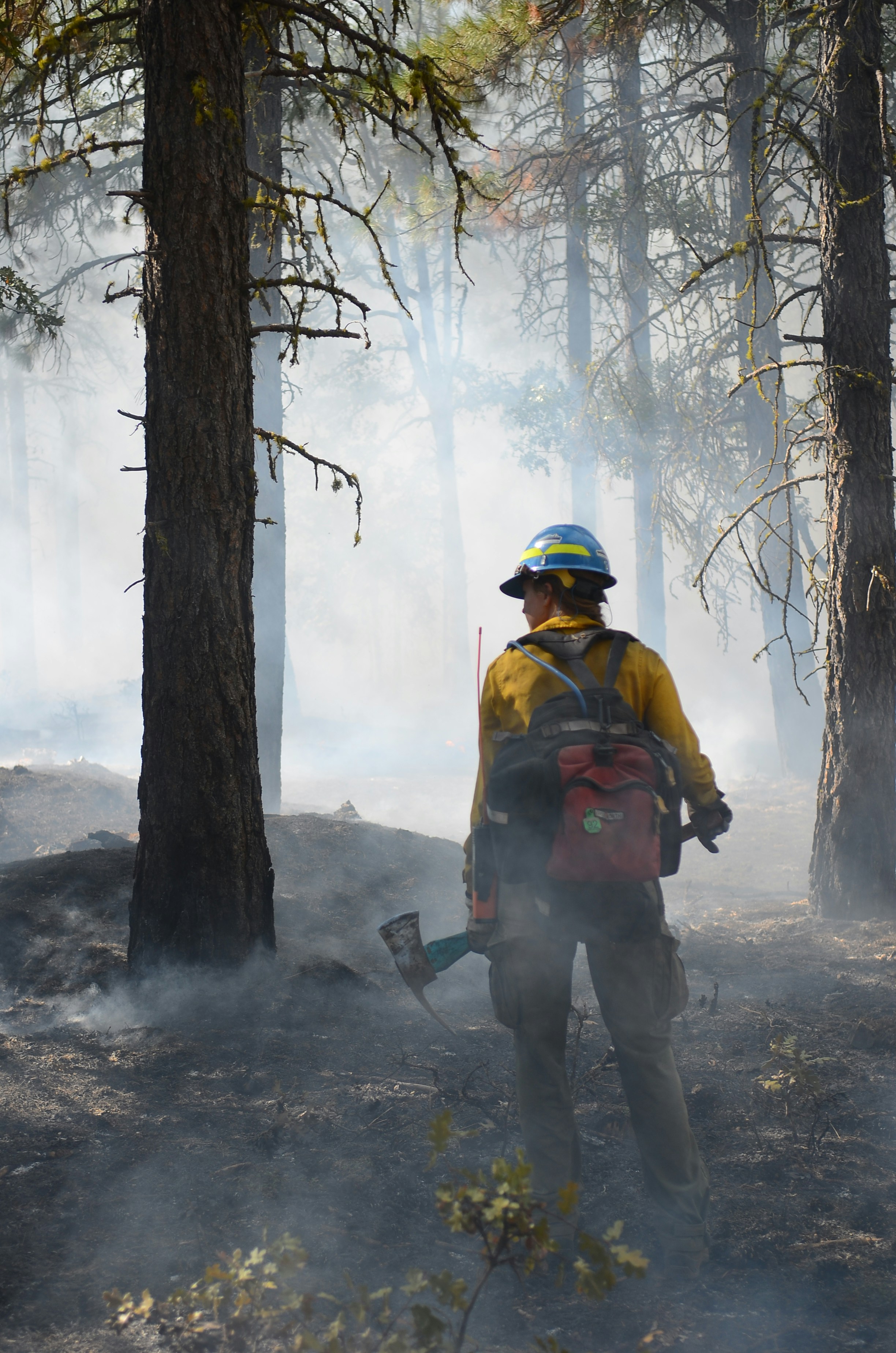 A firefighter standing in the woods with a fire extinguisher
