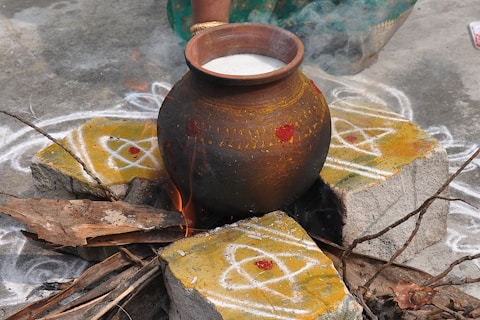 Pongal: A Vibrant Festival of Gratitude and Harvest?