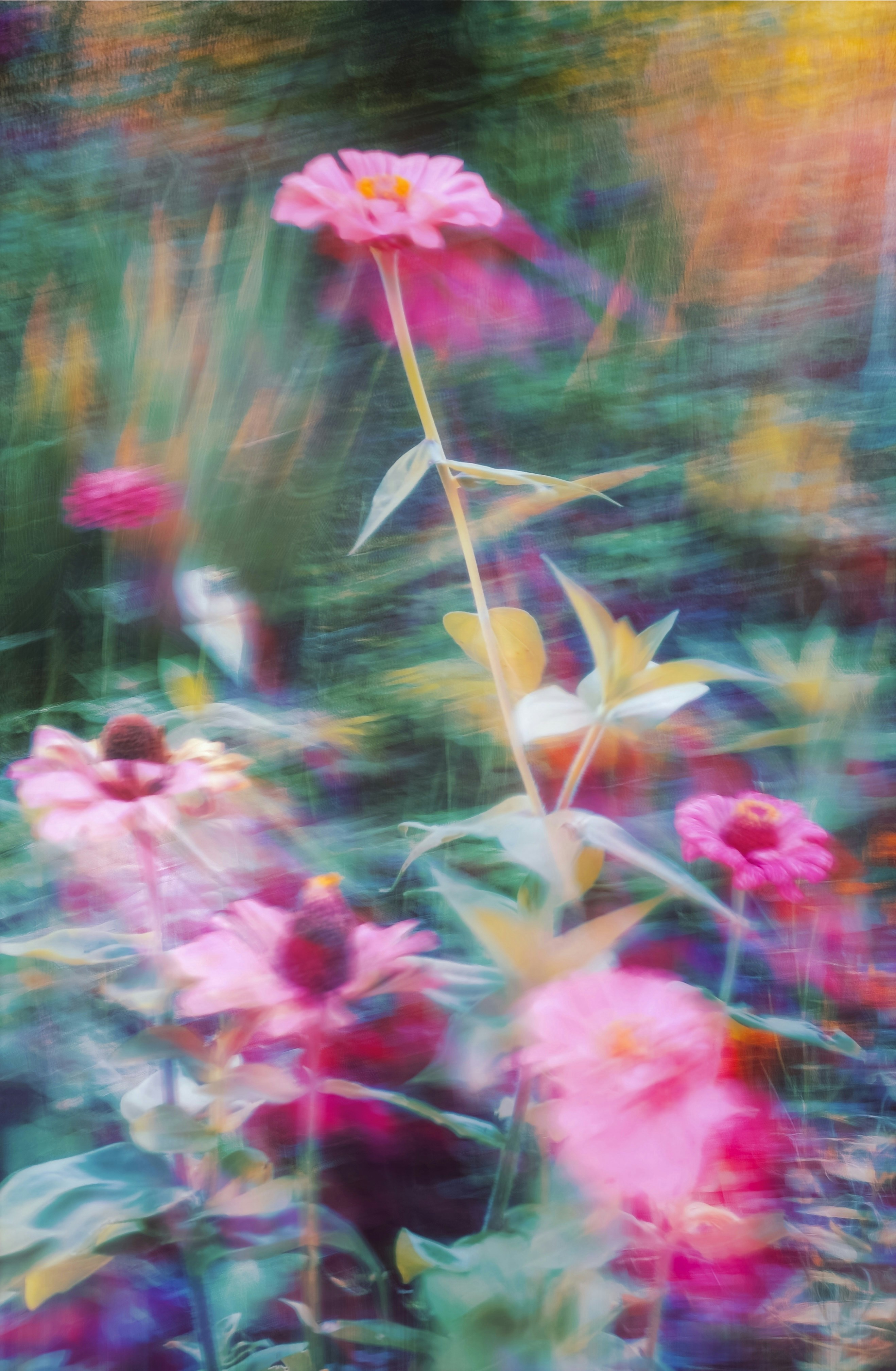 Photo by eugene_golovesov