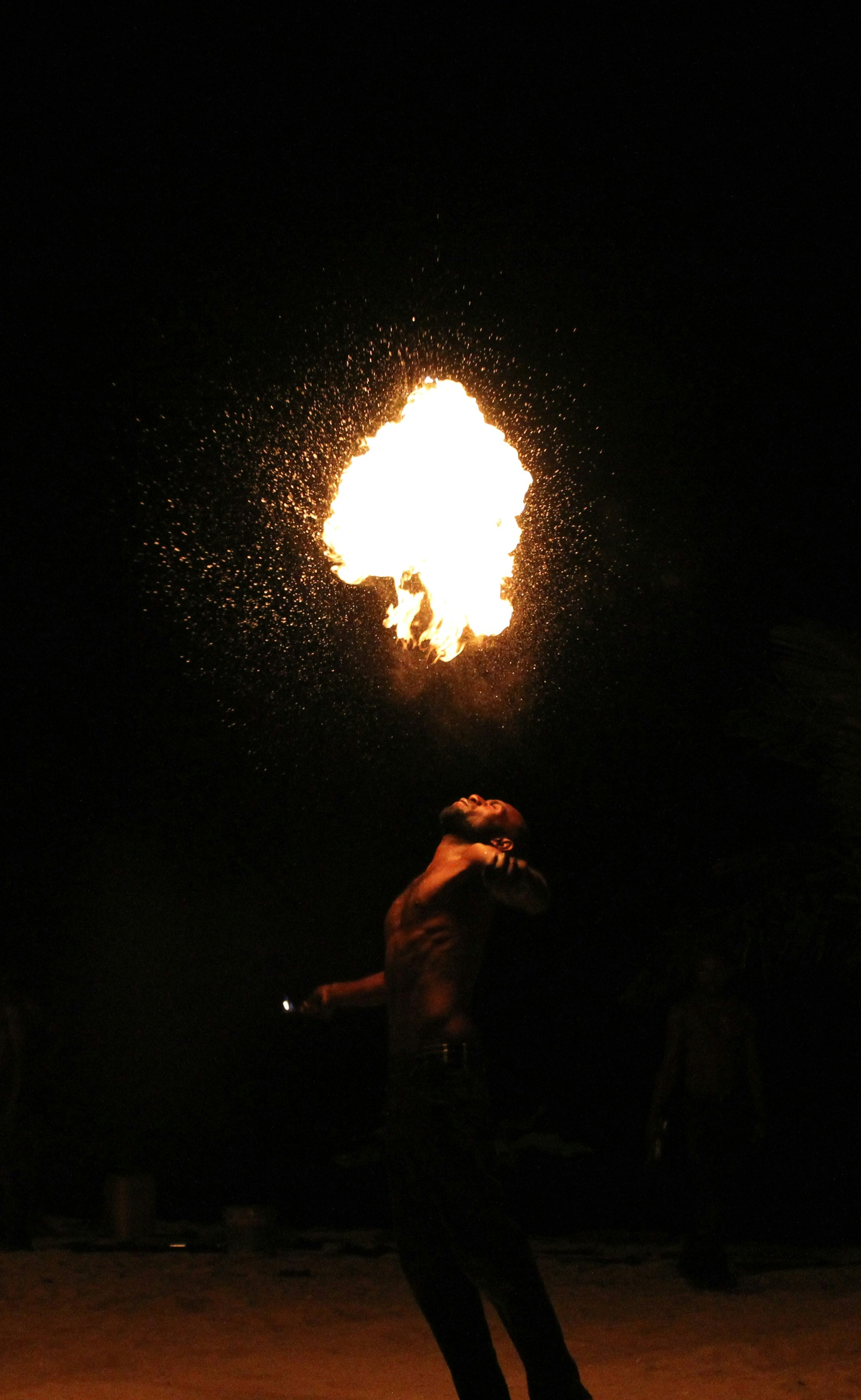 Photo by gingerbudgie