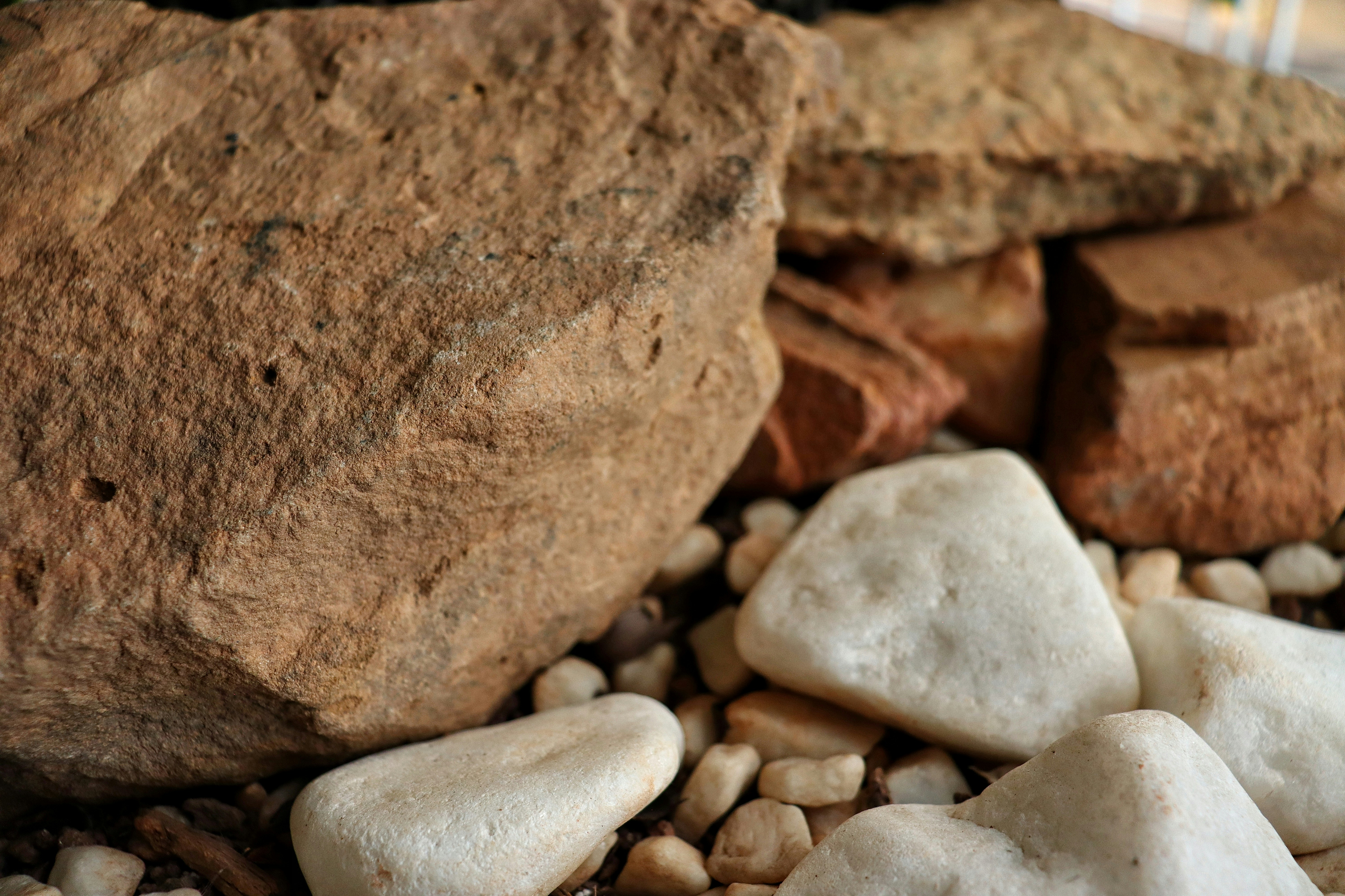 Photo by caio_delarolle