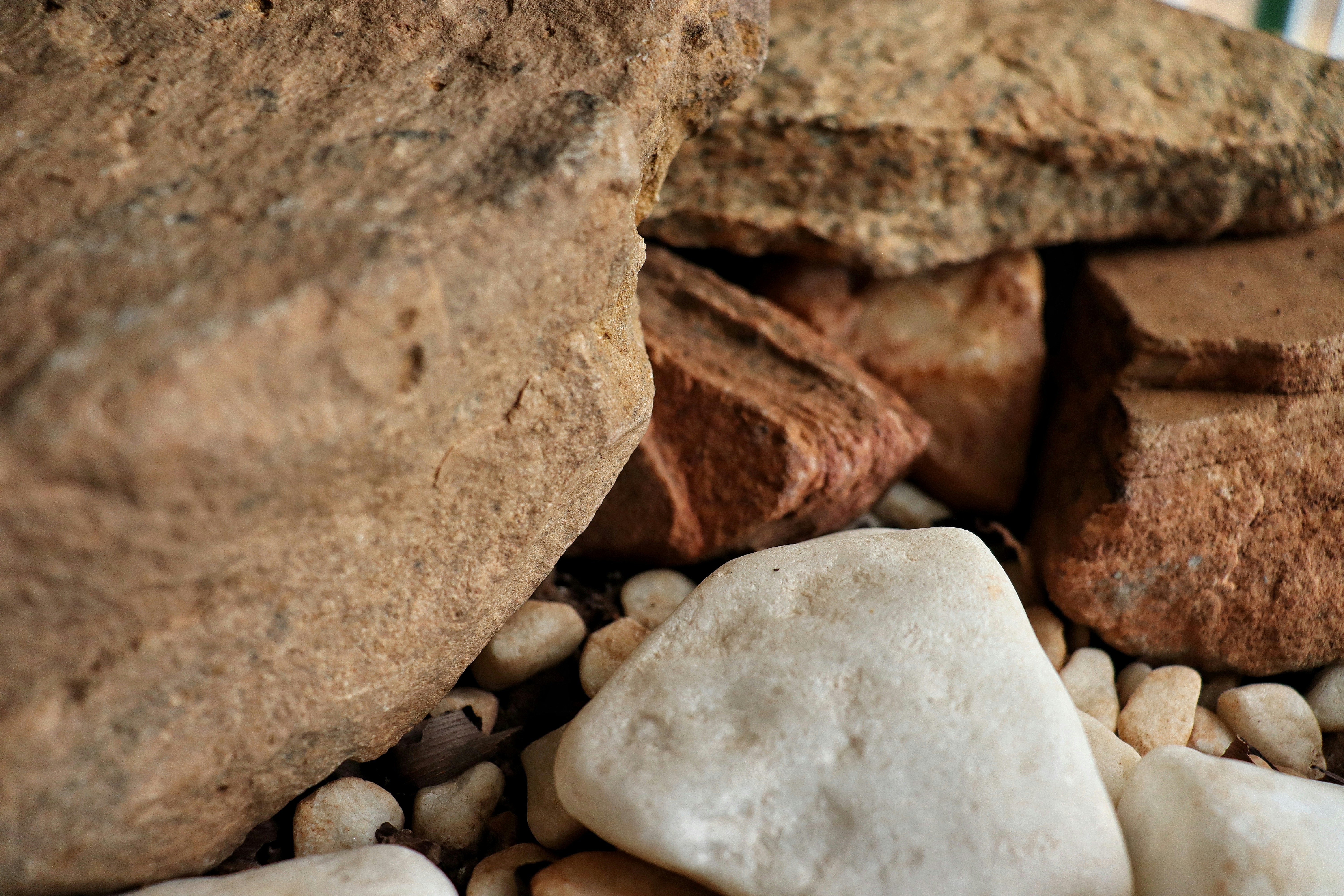 Photo by caio_delarolle