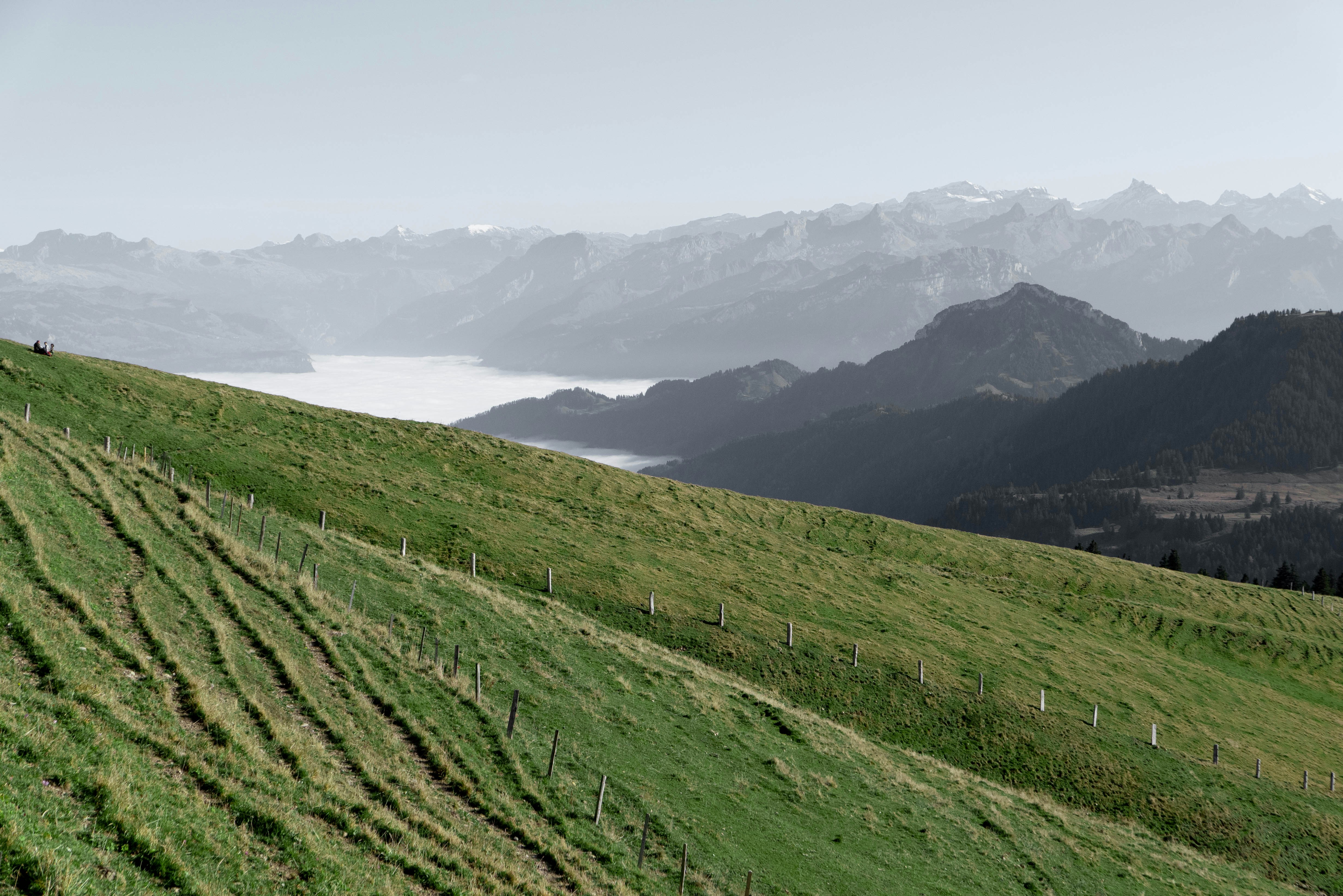 A grassy field with mountains in the background