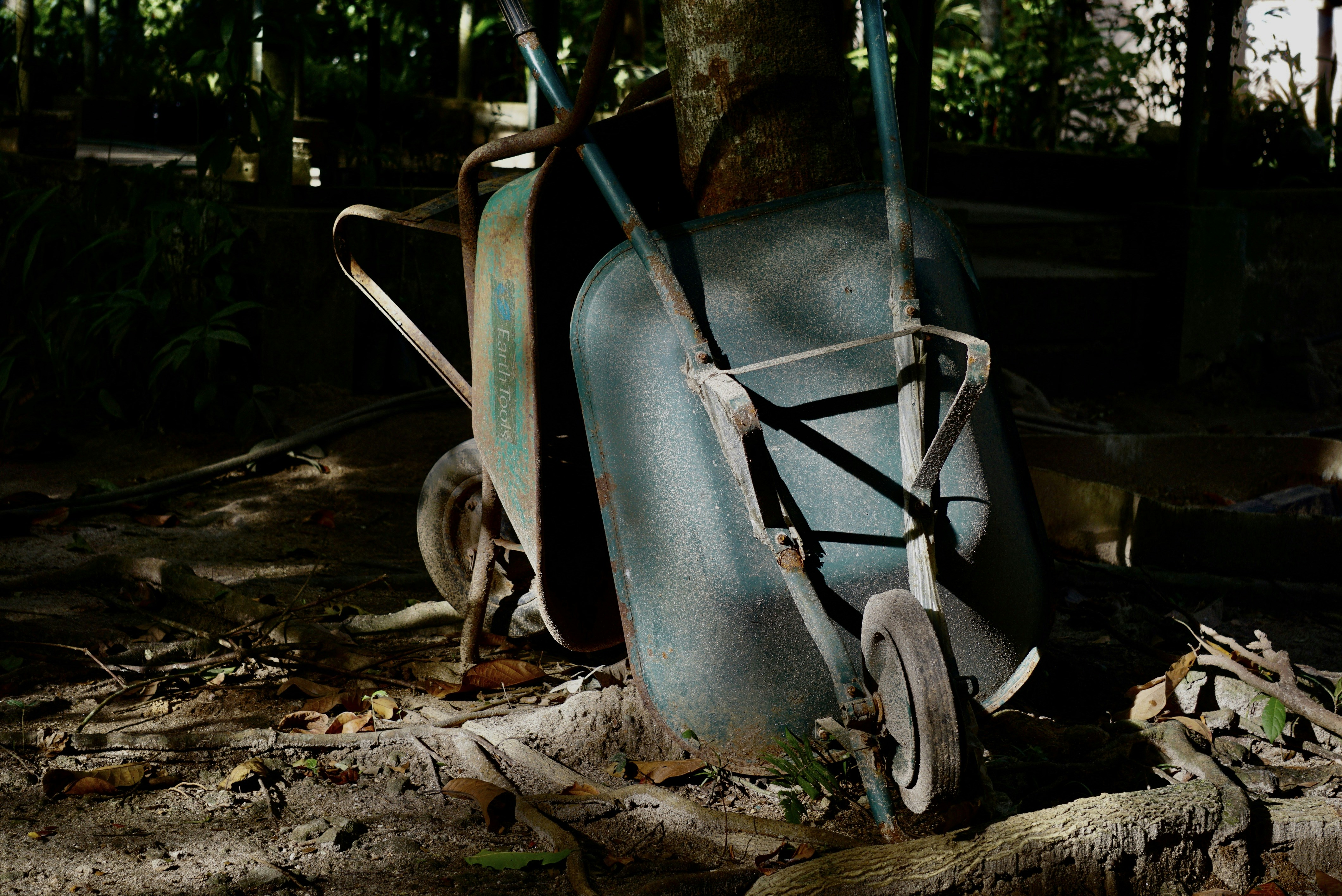 A blue wheelbarrow sitting next to a tree
