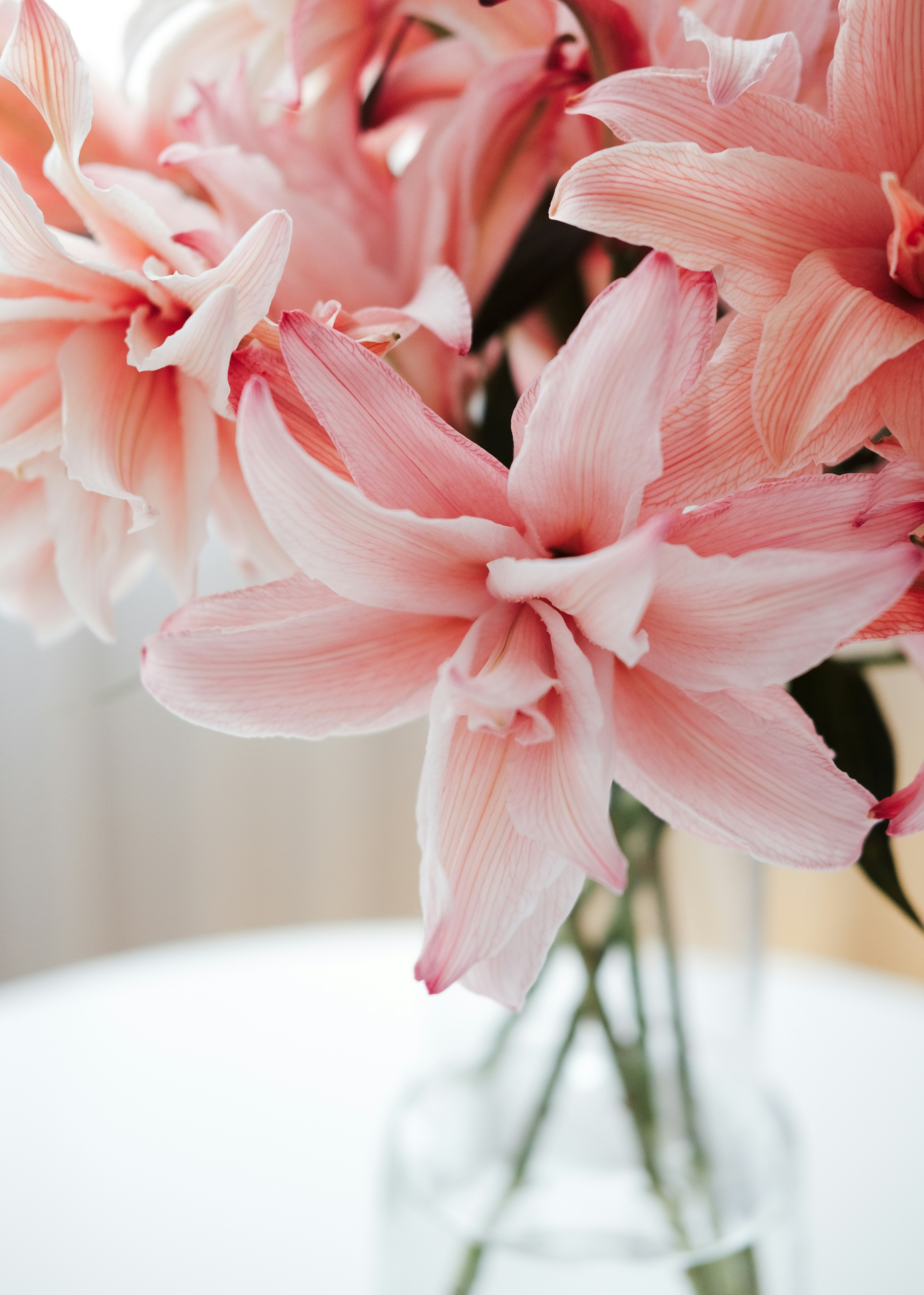 Photo by nganduong93