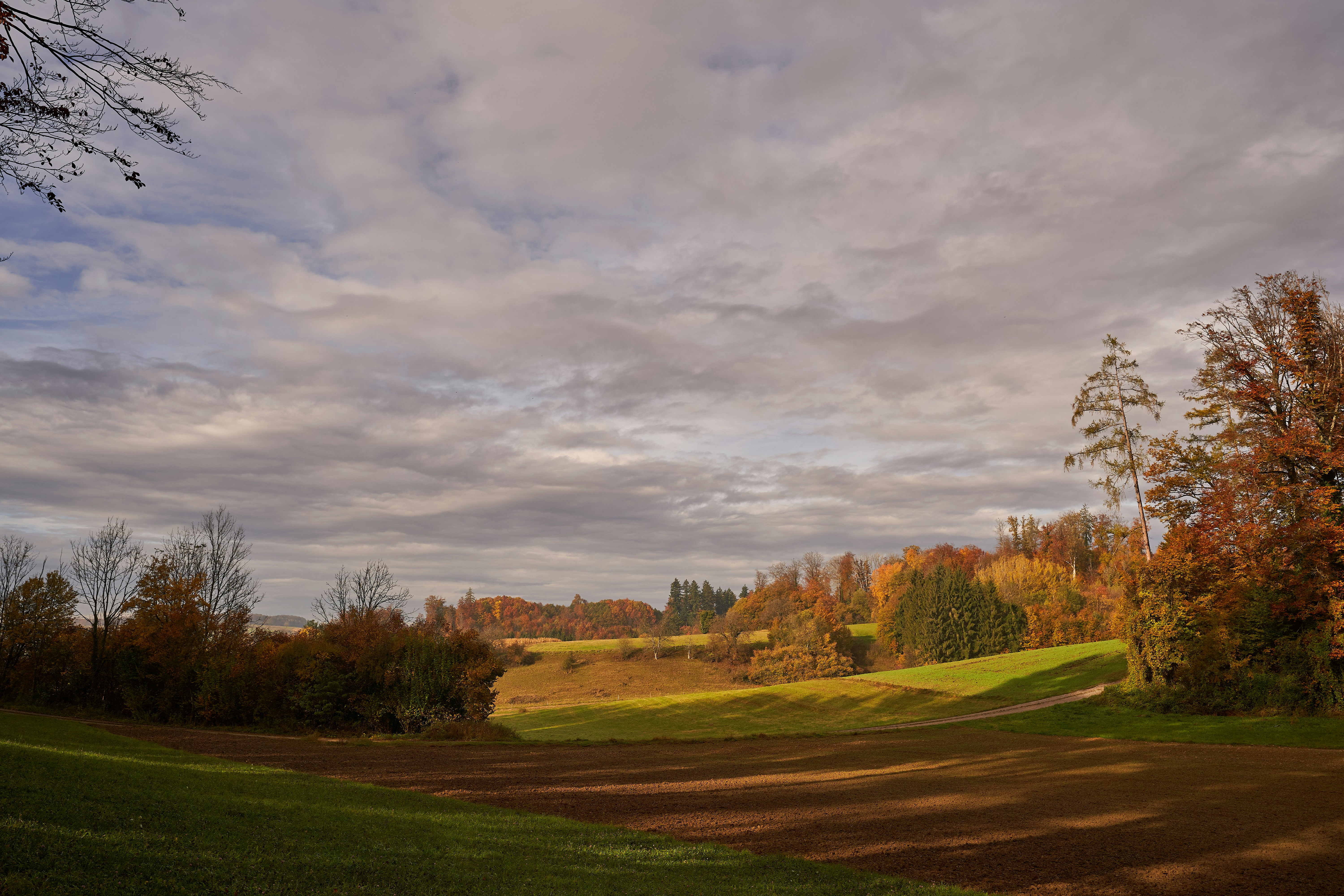 Photo by wolfgang_hasselmann