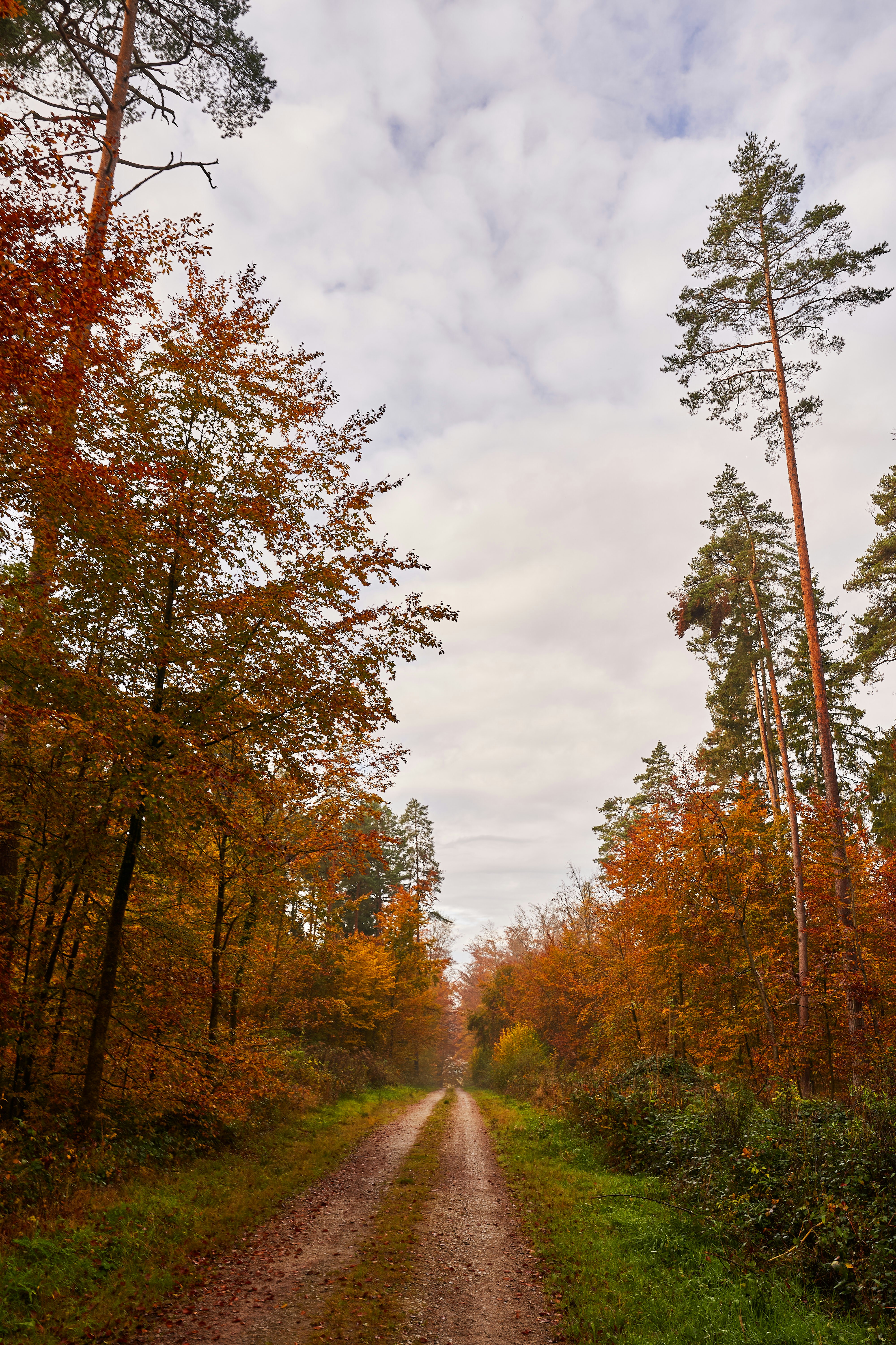 Photo by wolfgang_hasselmann