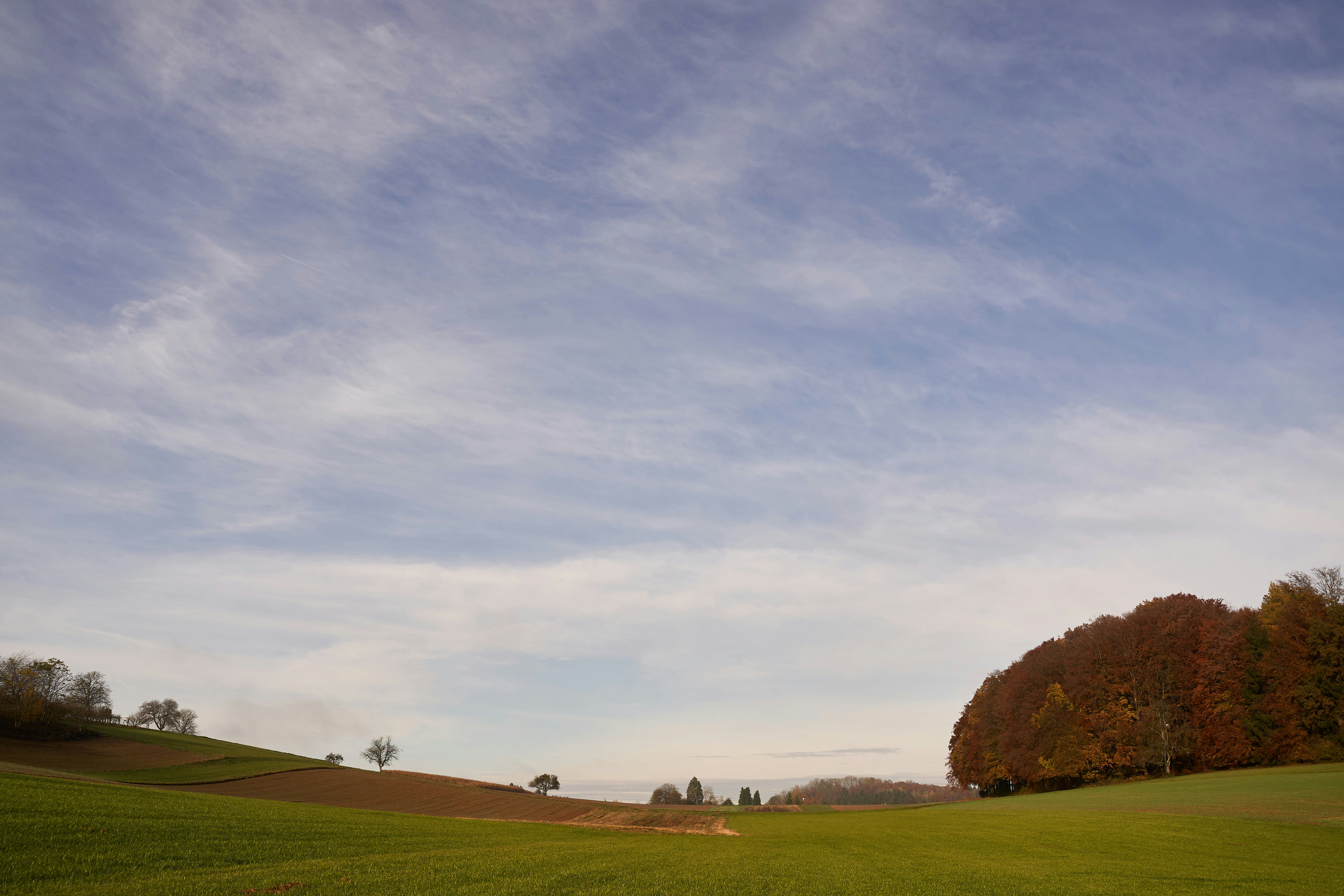 Photo by wolfgang_hasselmann