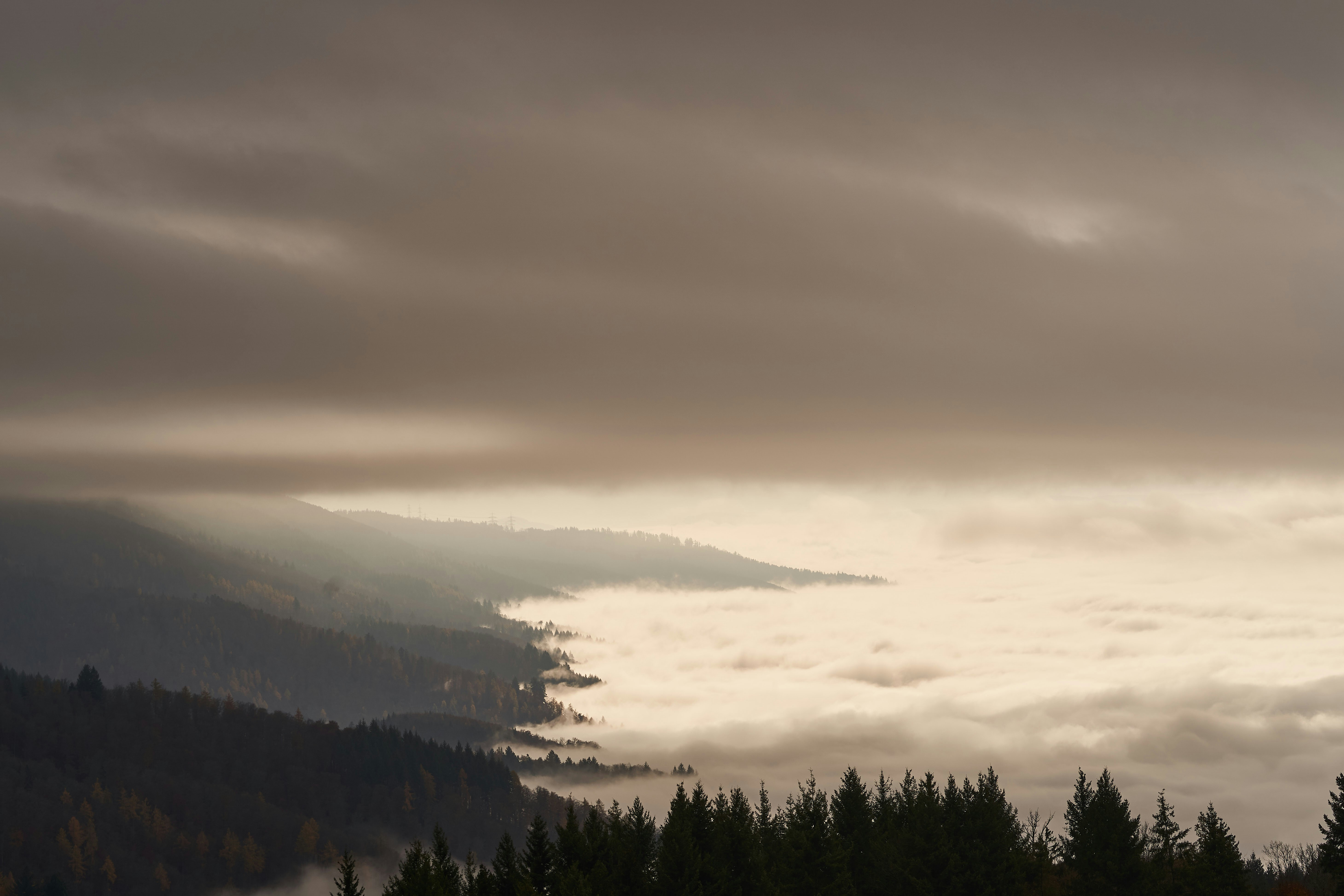 Photo by wolfgang_hasselmann