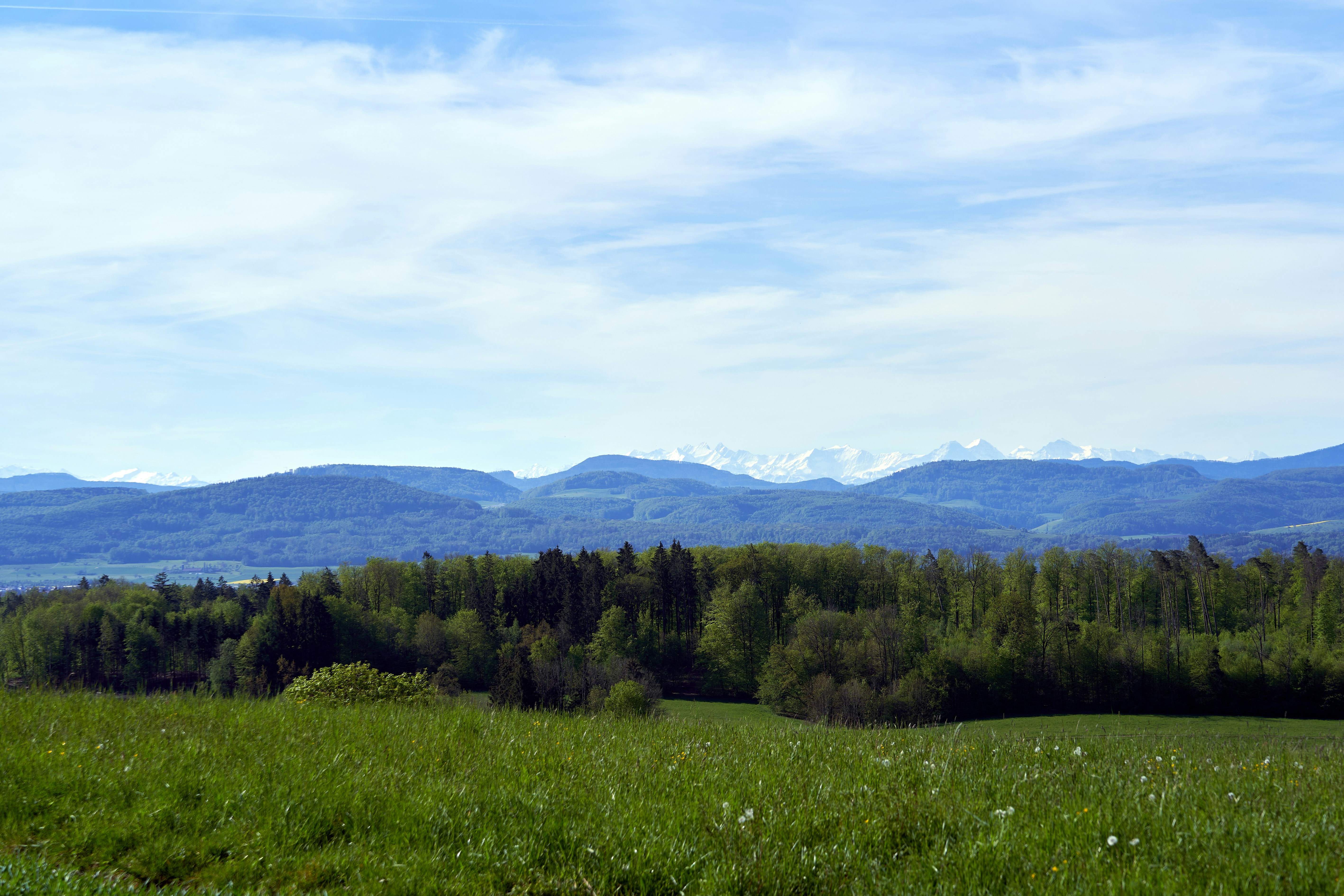 Photo by wolfgang_hasselmann