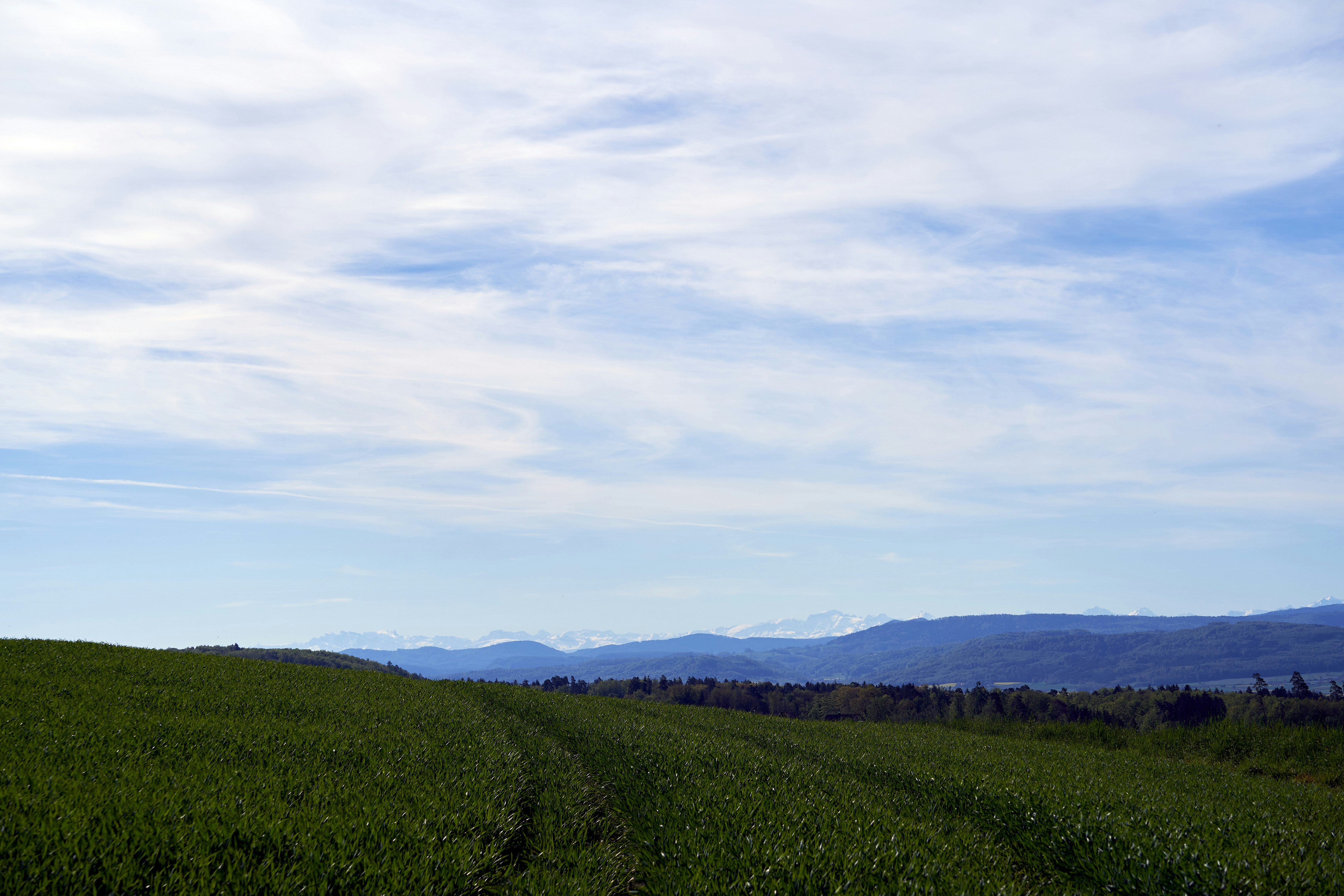 Photo by wolfgang_hasselmann