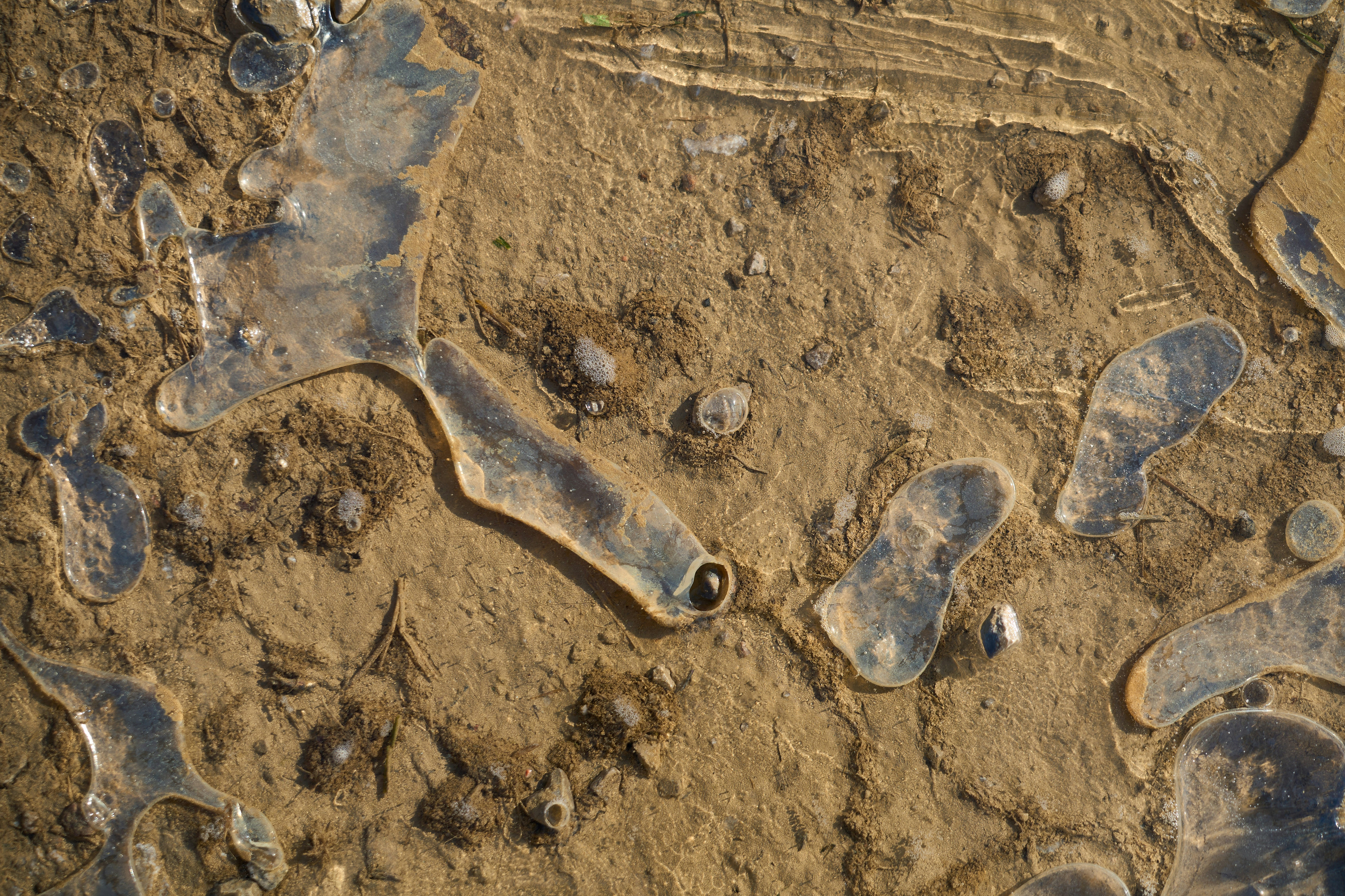 Photo by wolfgang_hasselmann