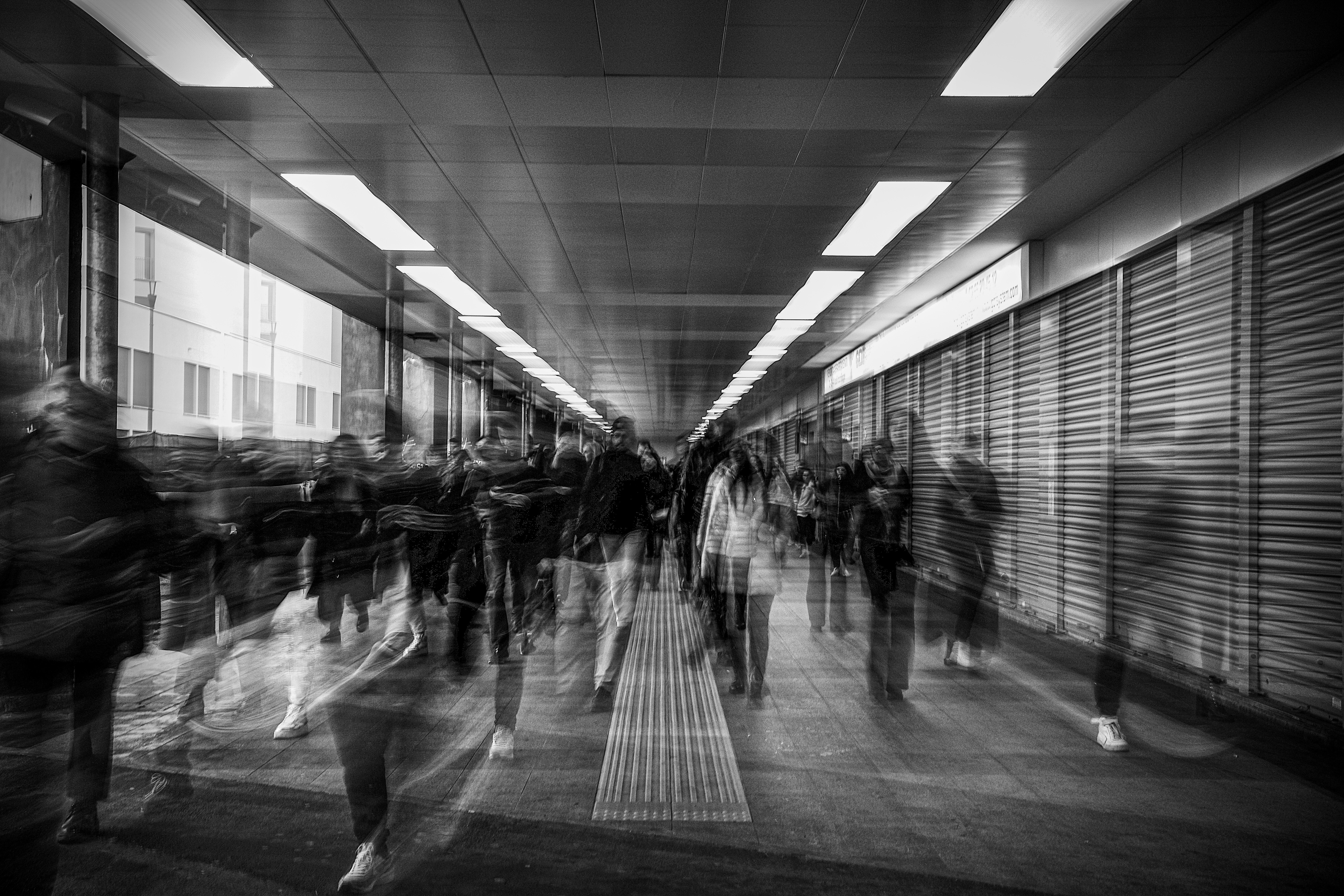 Photo by inside_faraostudio