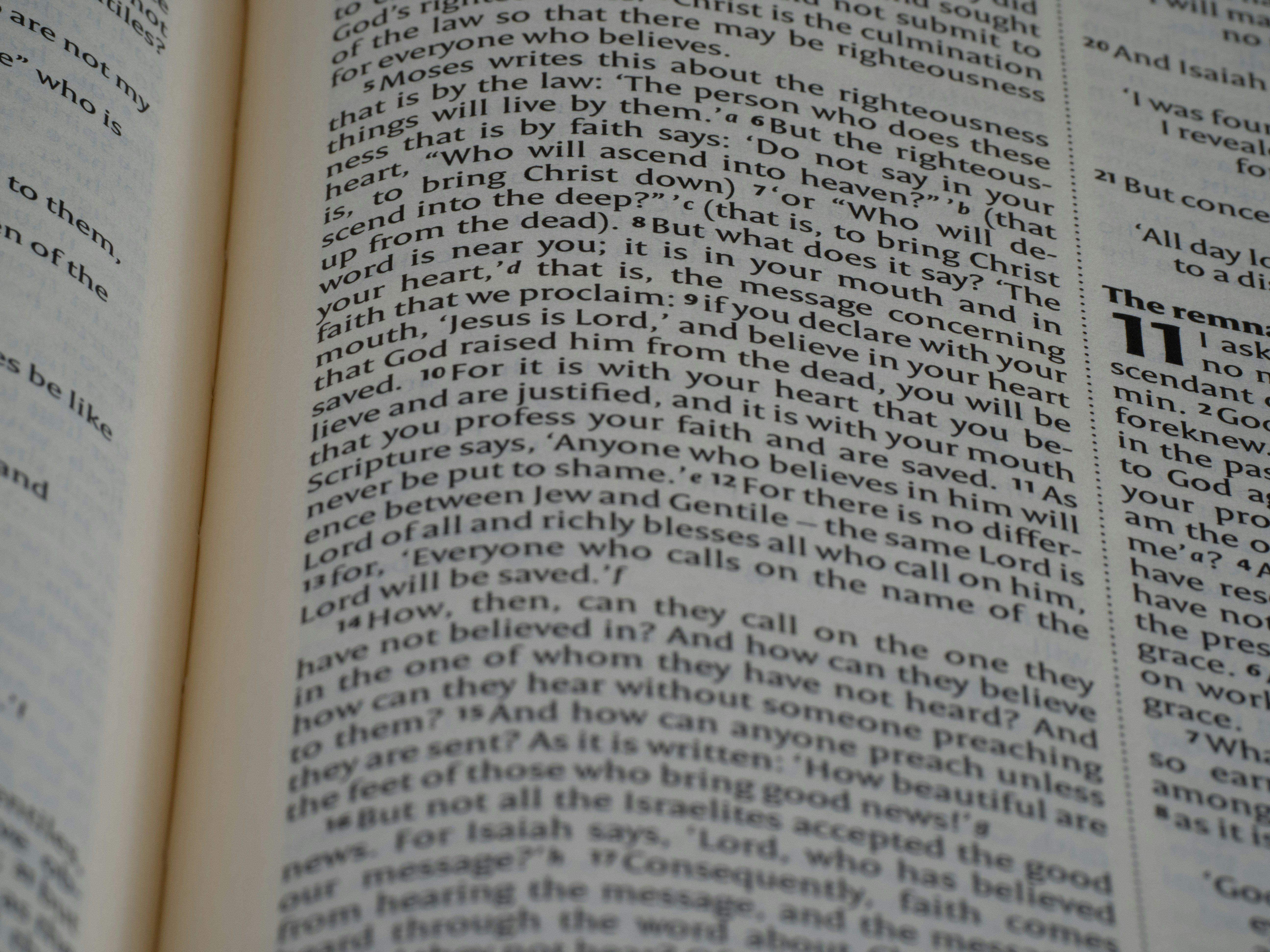 Copy of The Federalist Papers - James Madison Constitution