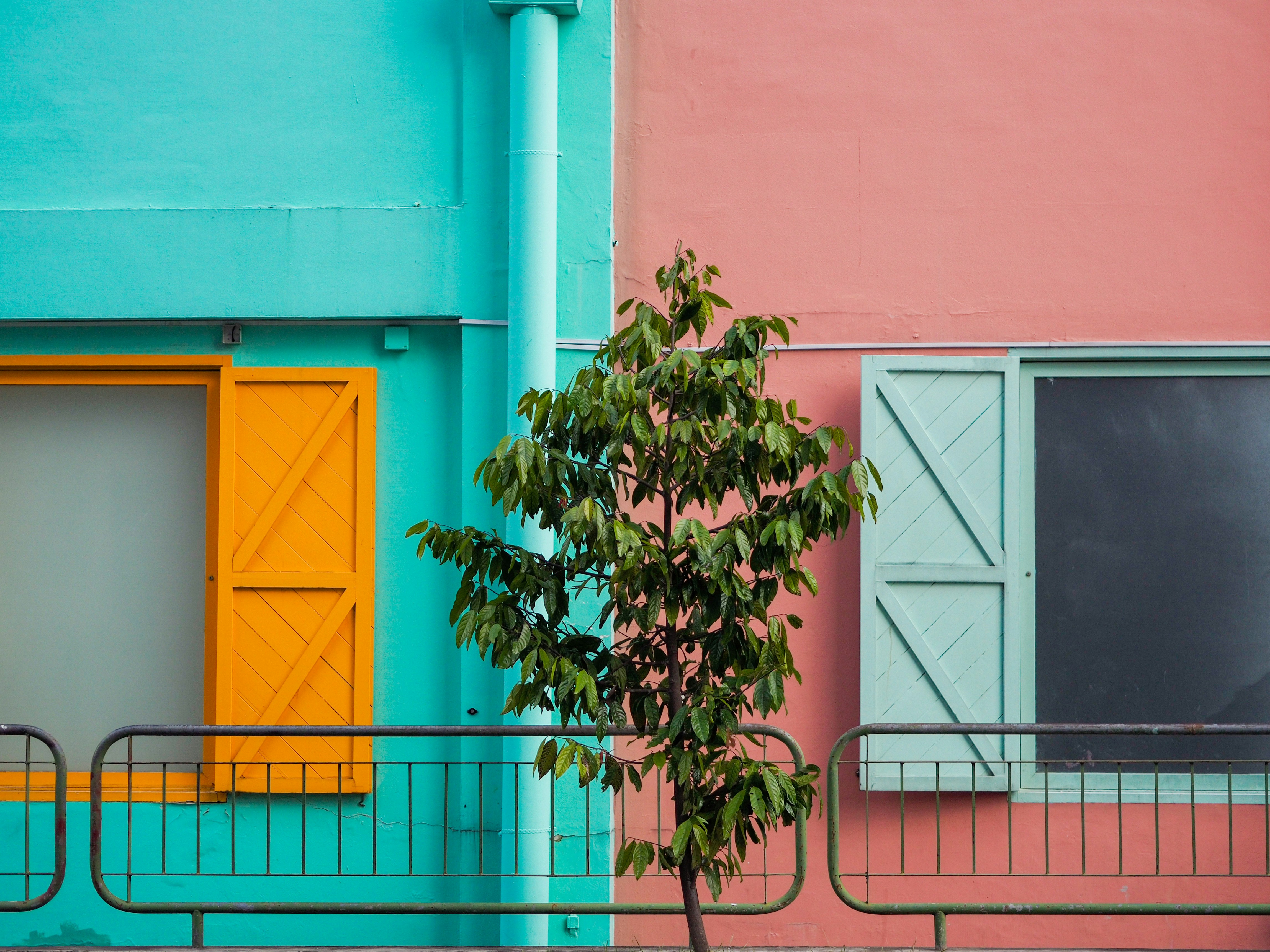 Photo by ruthietoothy