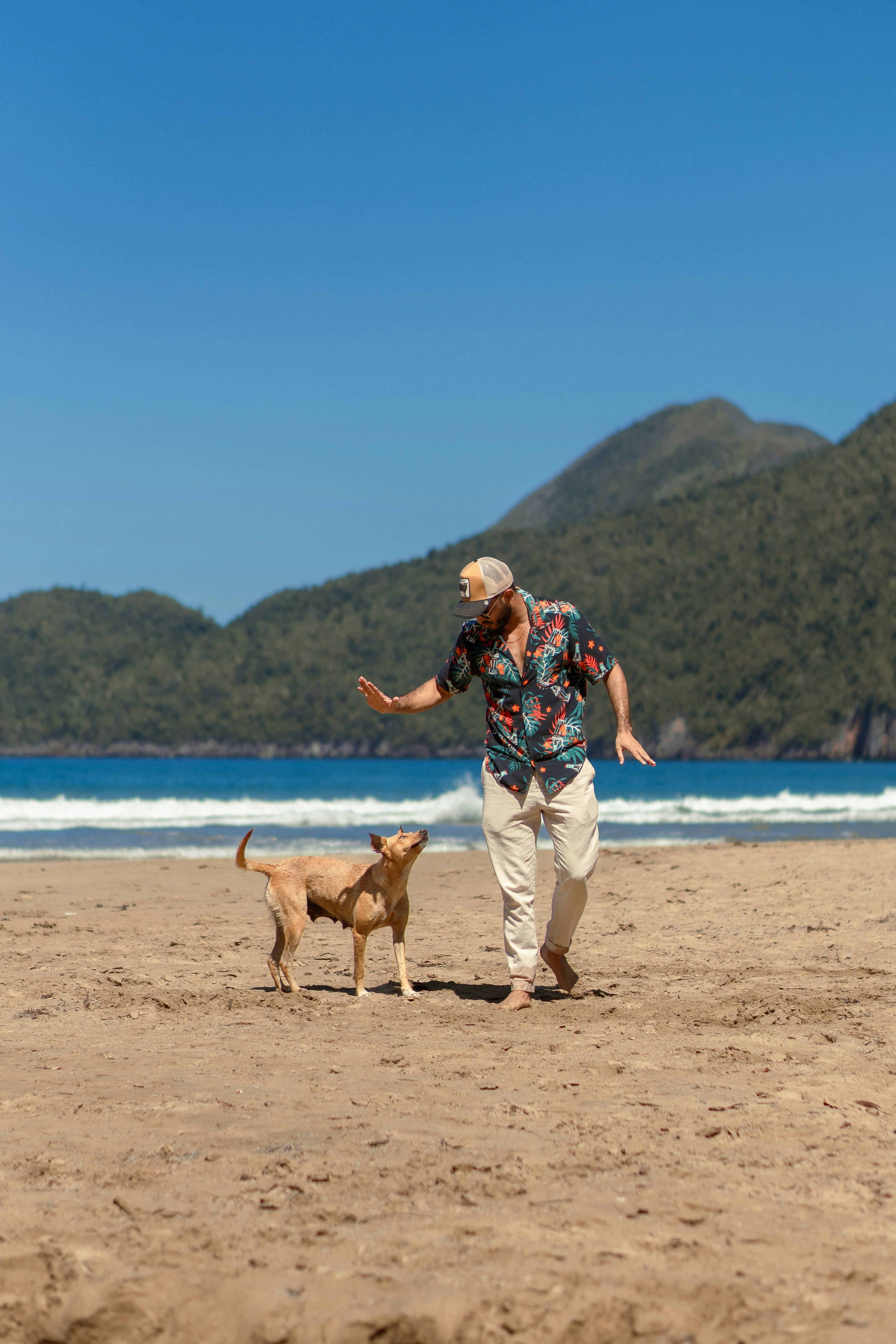 A man walking on a beach with a dog