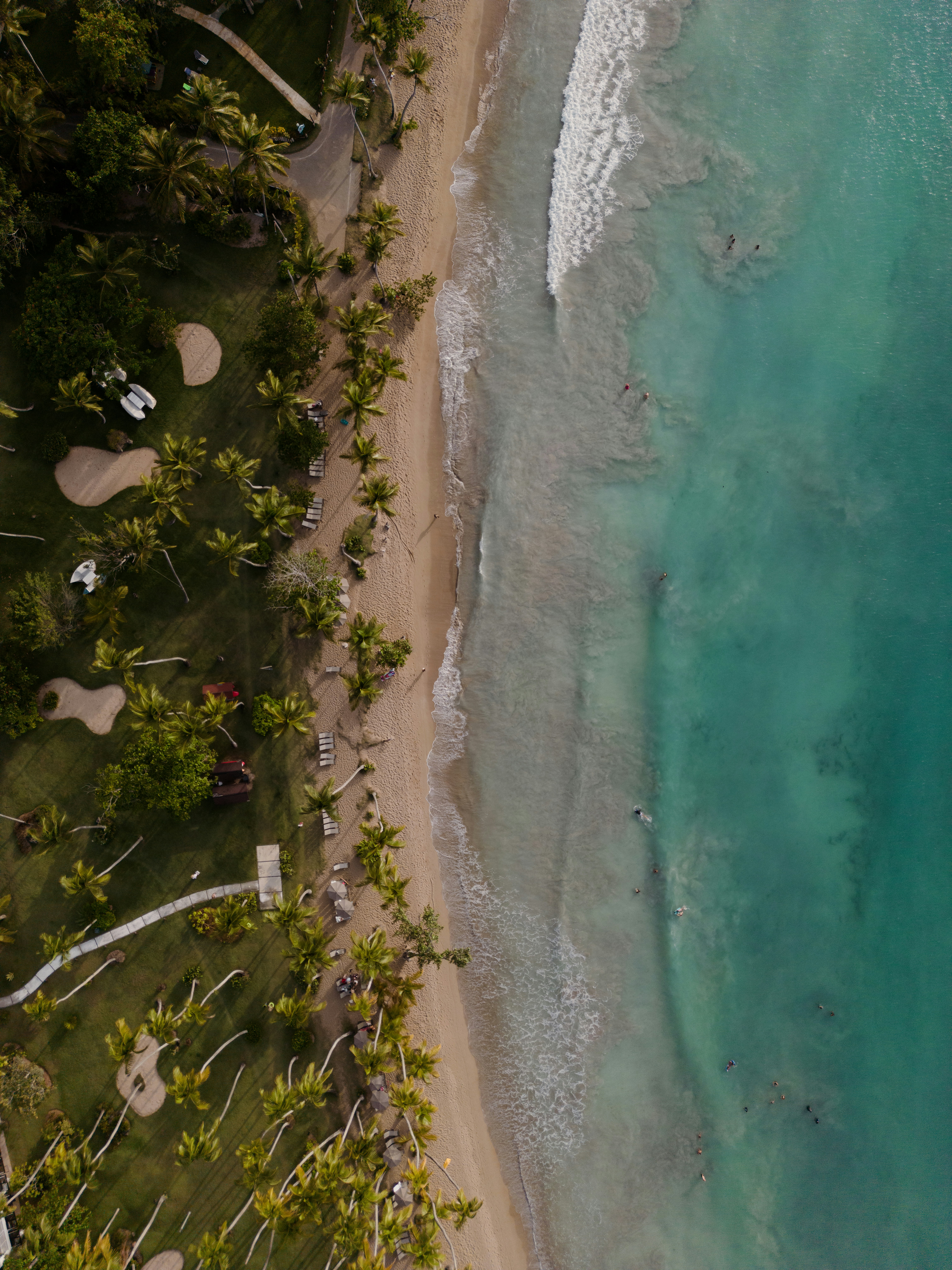 coverse basketball ho19