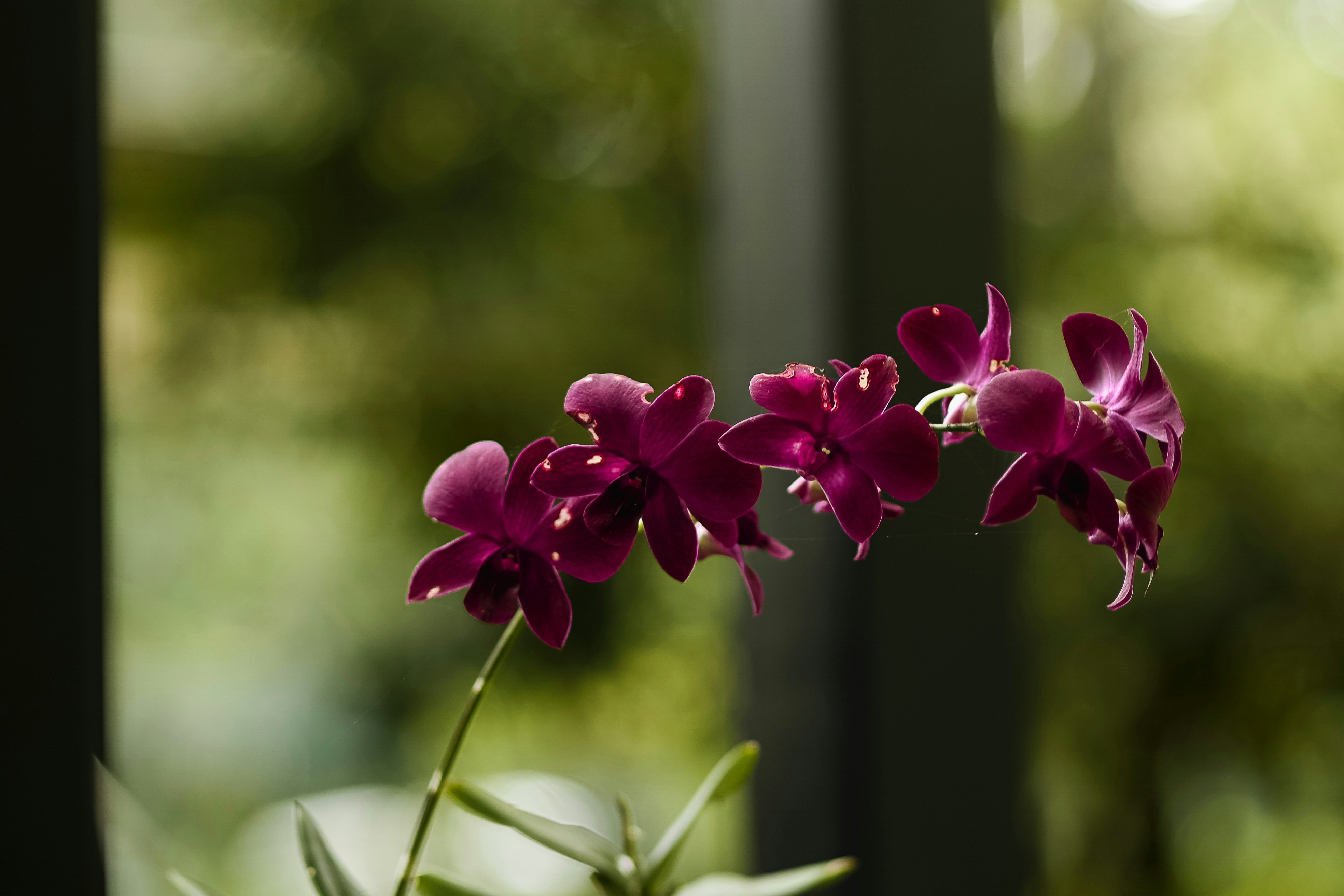 Photo by rrajputphotography