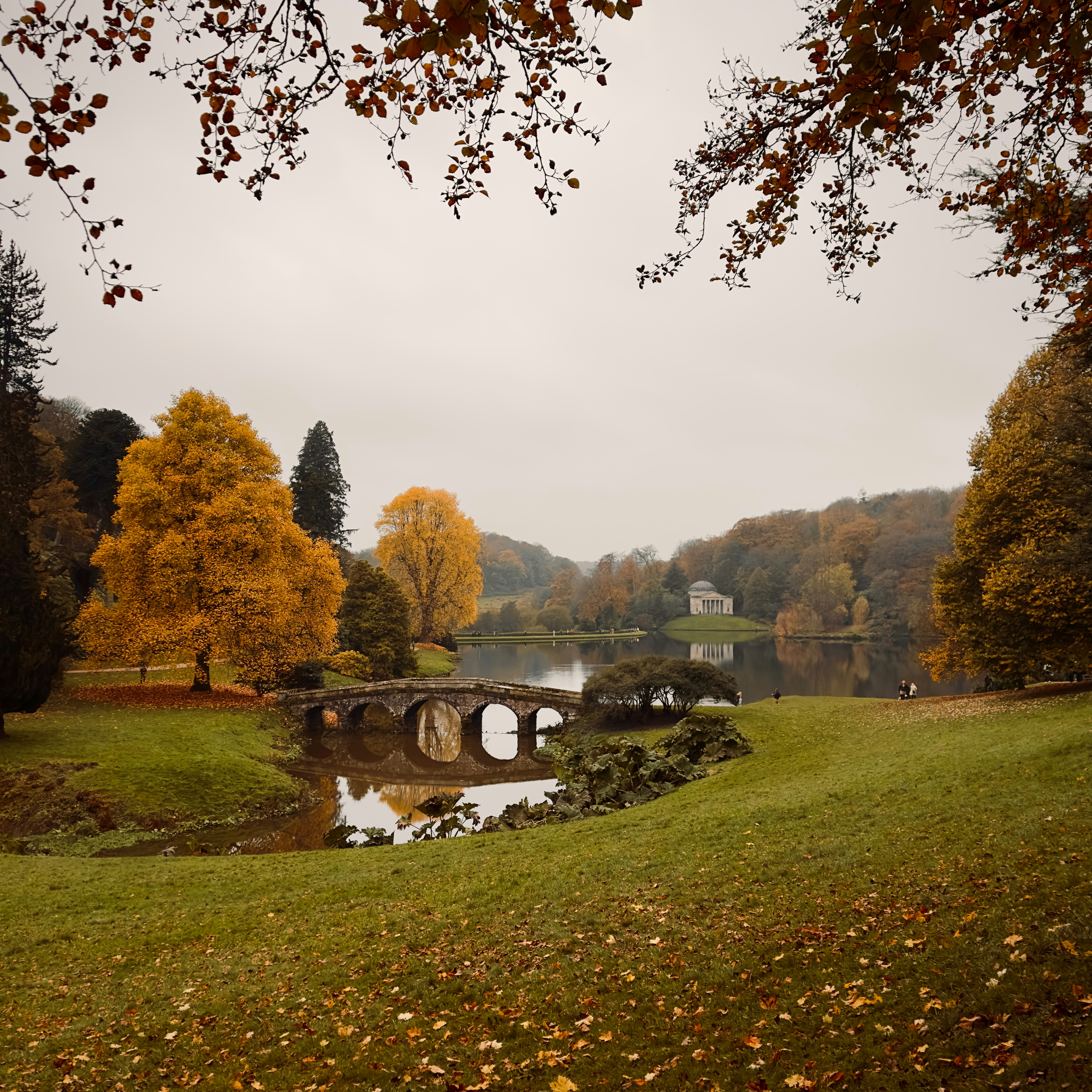 A pond in a park surrounded by trees