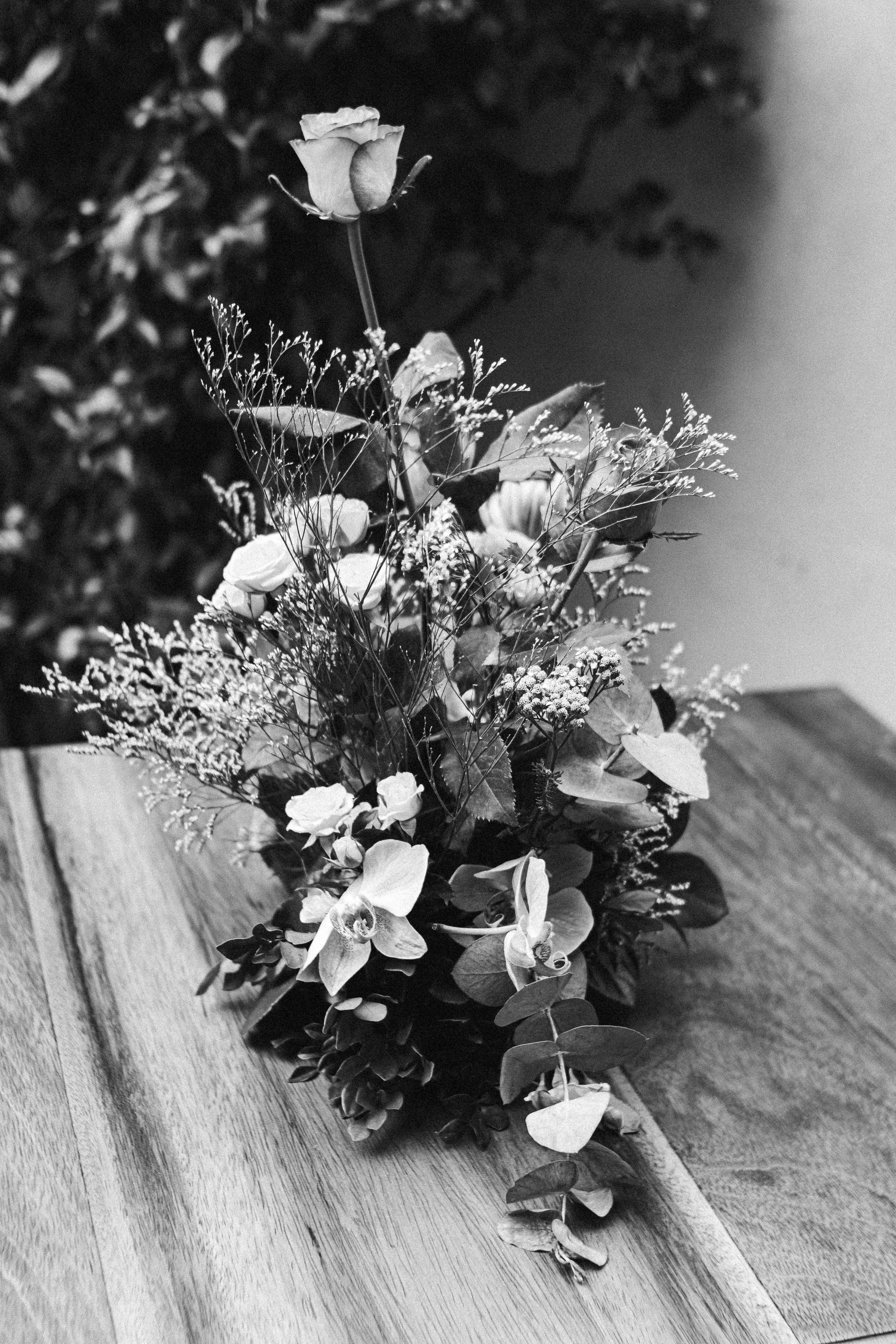 Photo by julianemonari