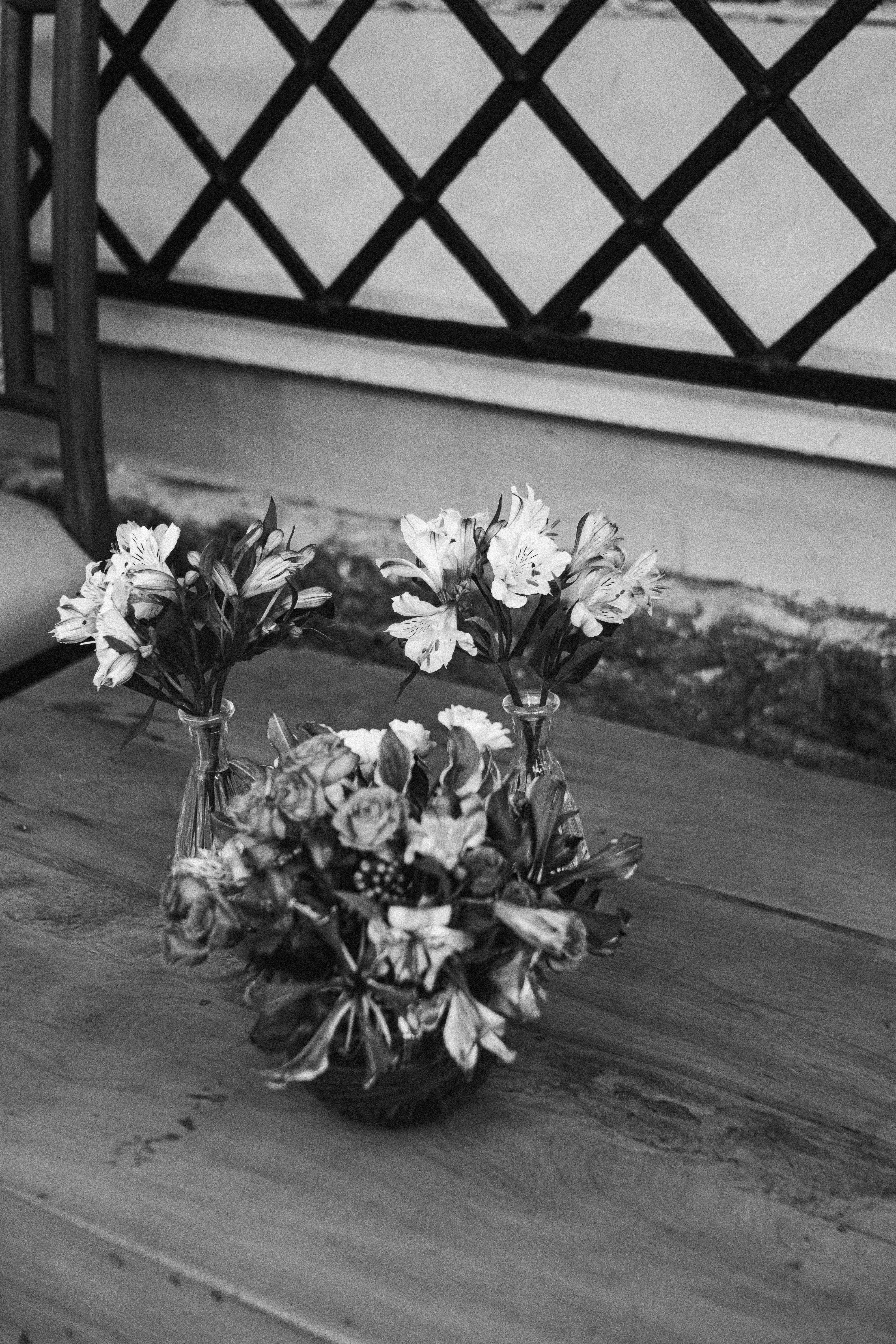 Photo by julianemonari