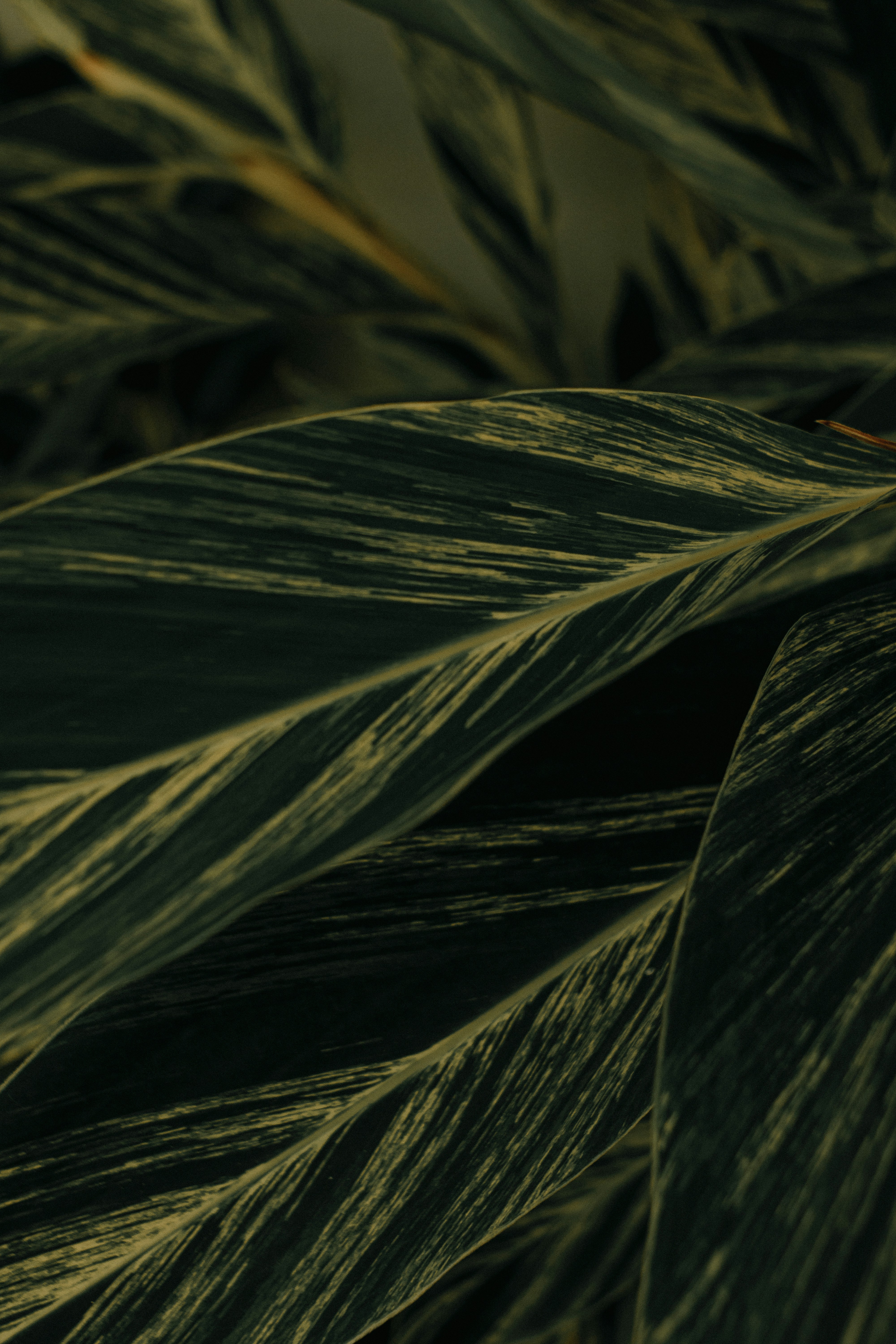 Photo by julianemonari