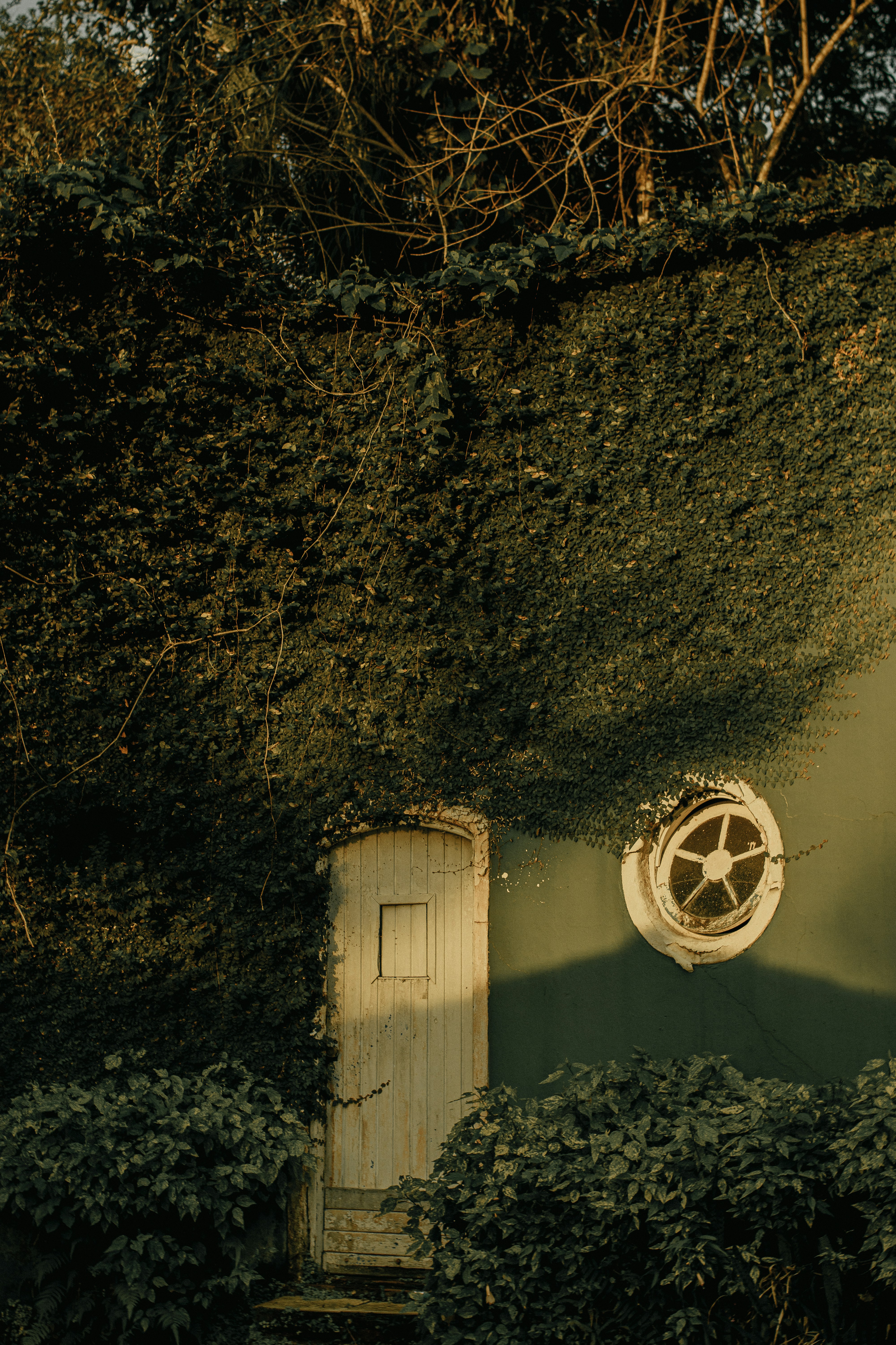 Photo by julianemonari