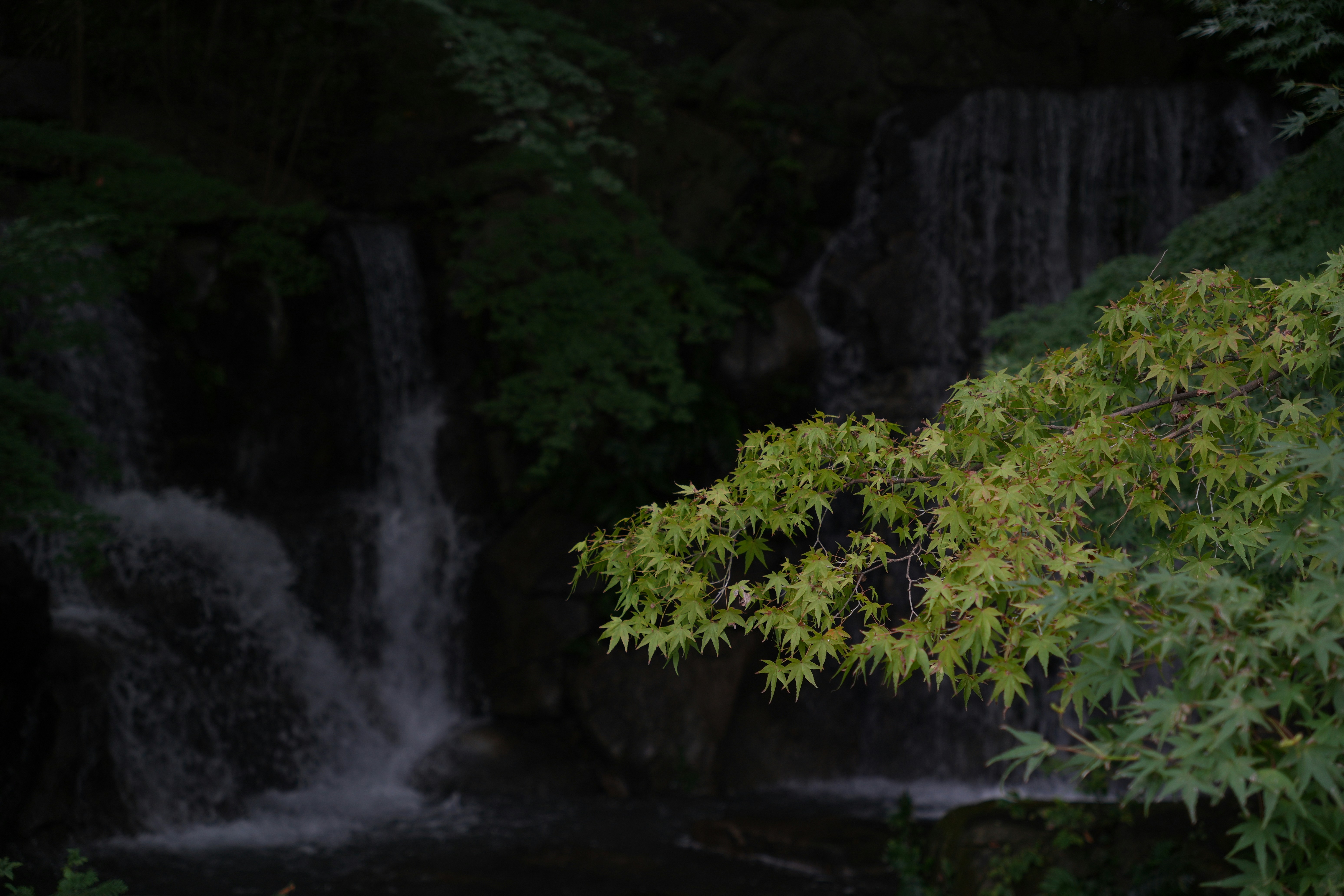 A small waterfall in the middle of a forest