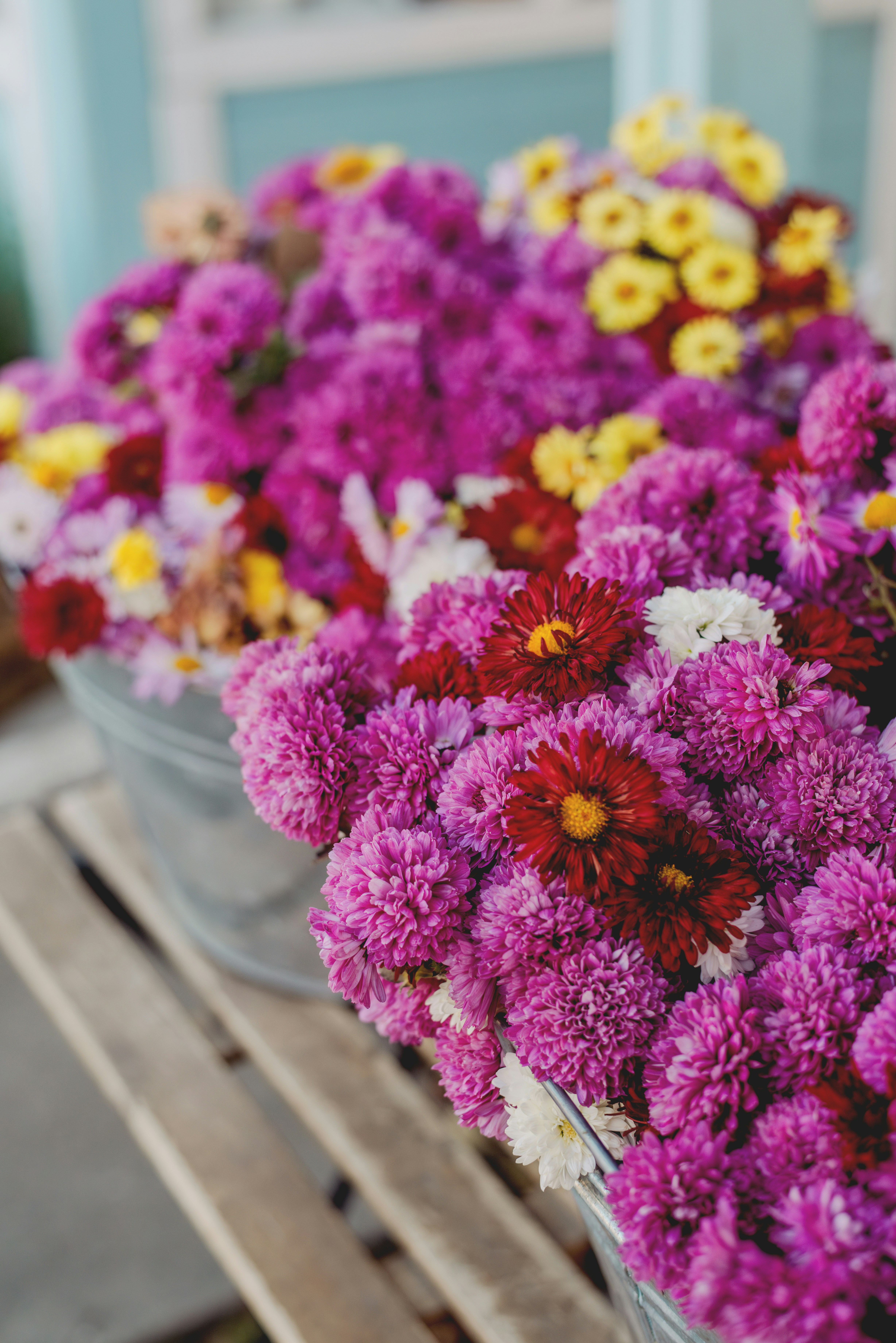 Photo by eugenivy_now