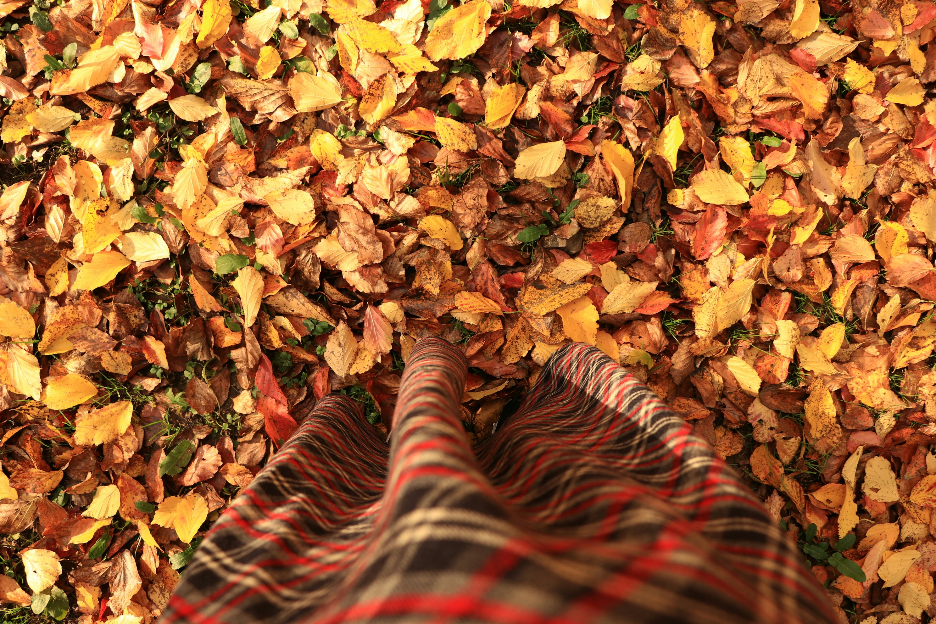 Moda de otoño acogedora