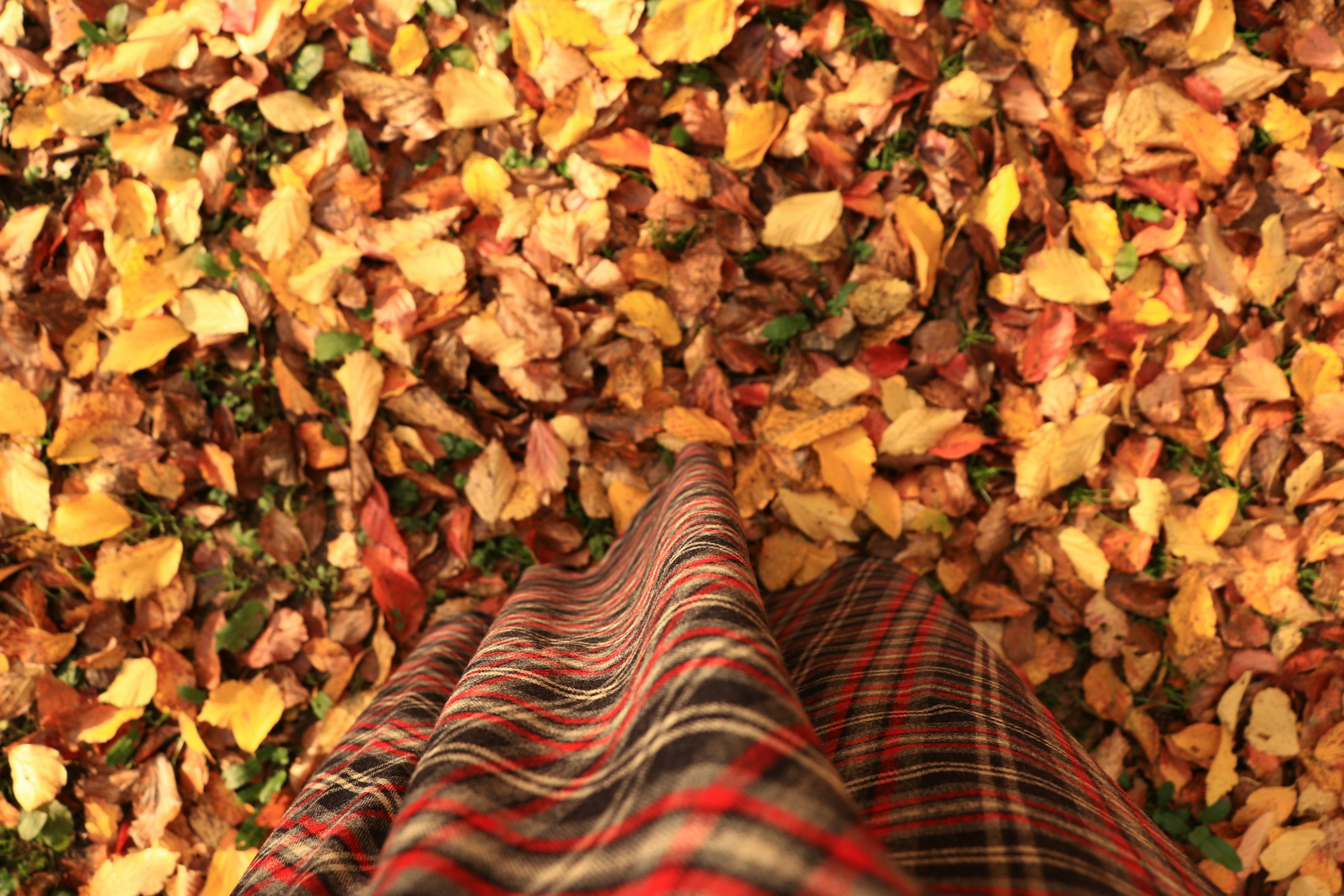 A person standing in front of a pile of leaves