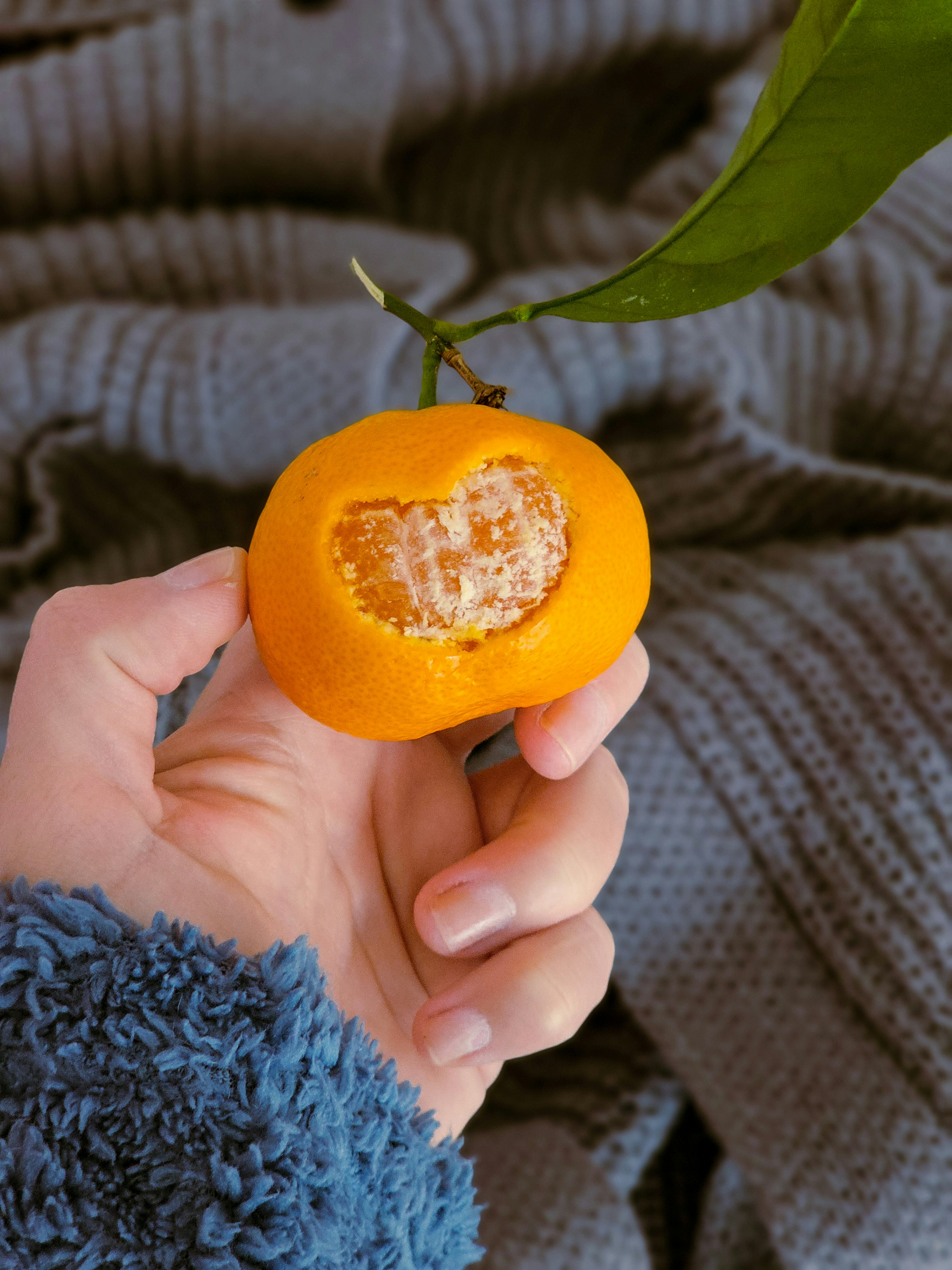 Unpeeling the Truth: What Are Little Cuties Oranges and Why They're a Must-Have