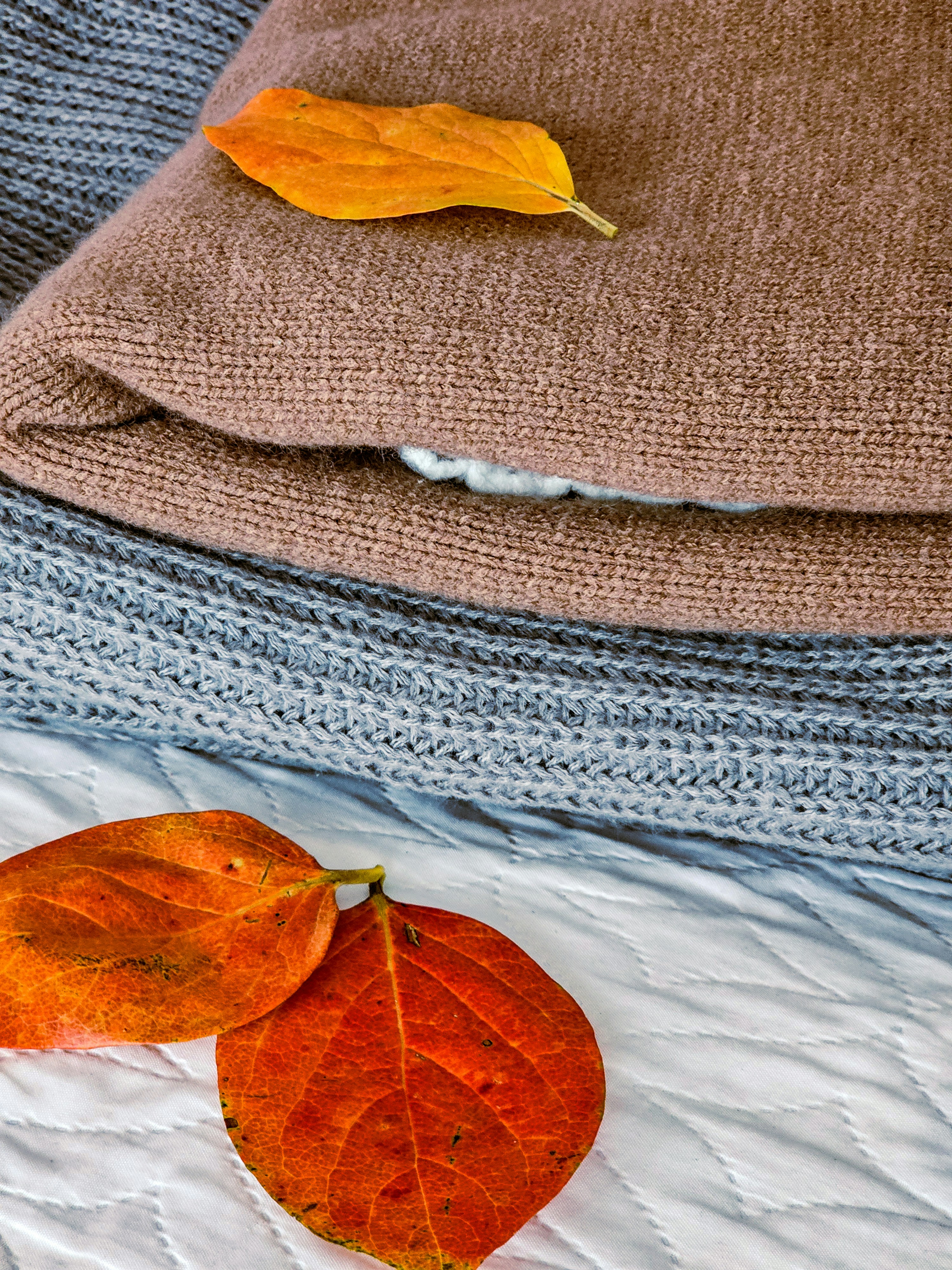 Two leaves laying on a bed next to a pillow