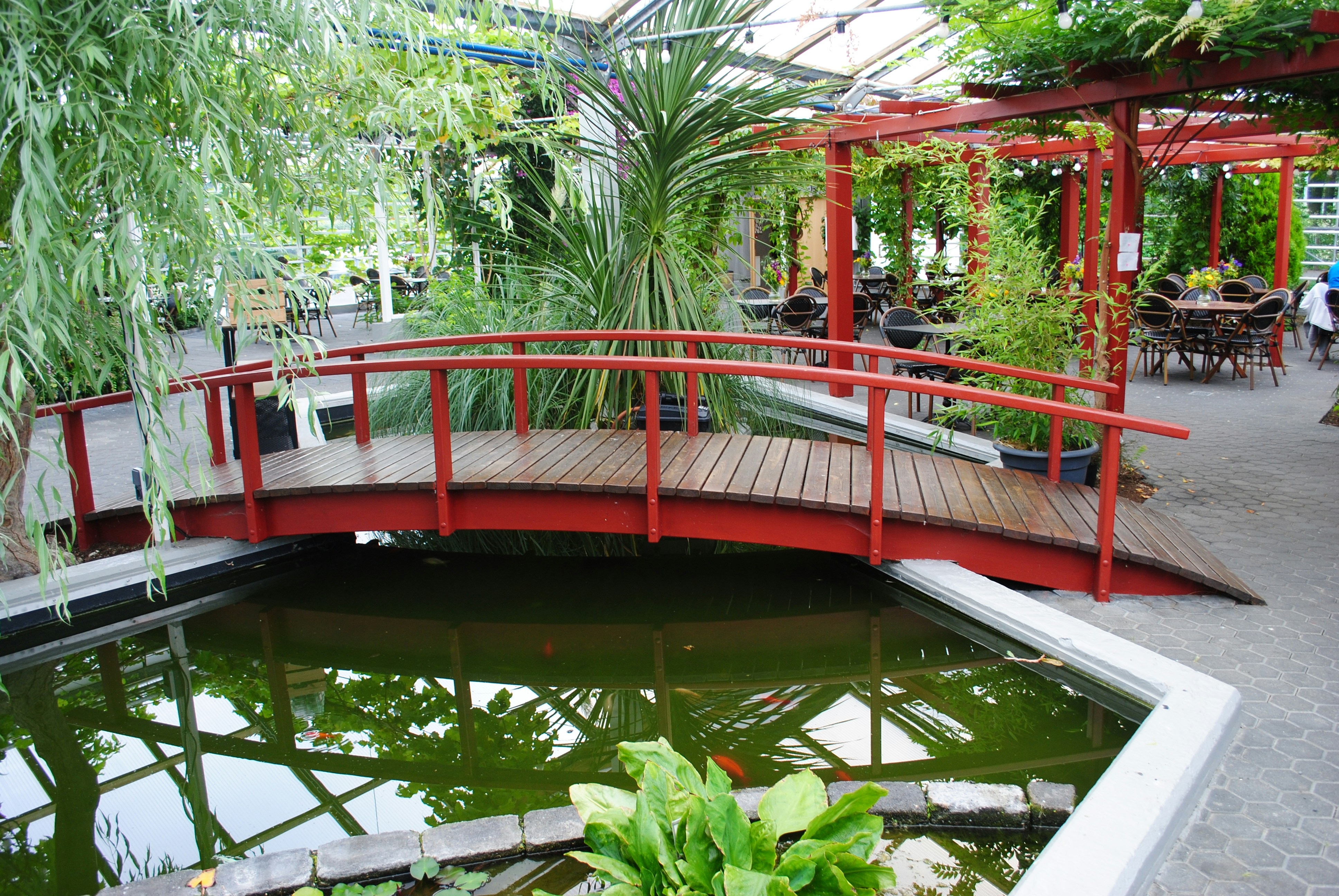 Photo by orrell_mount