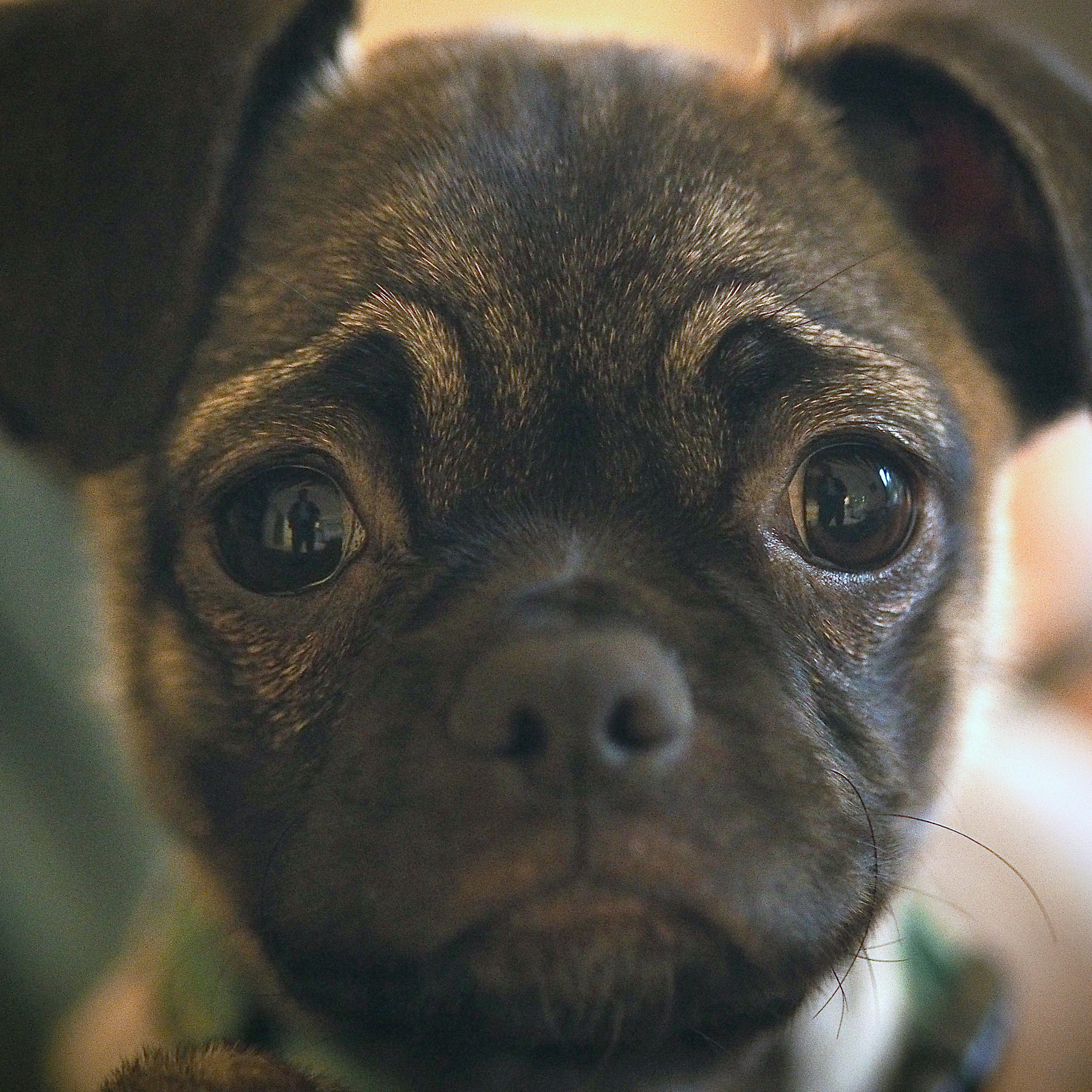 Photo by brandoniscool