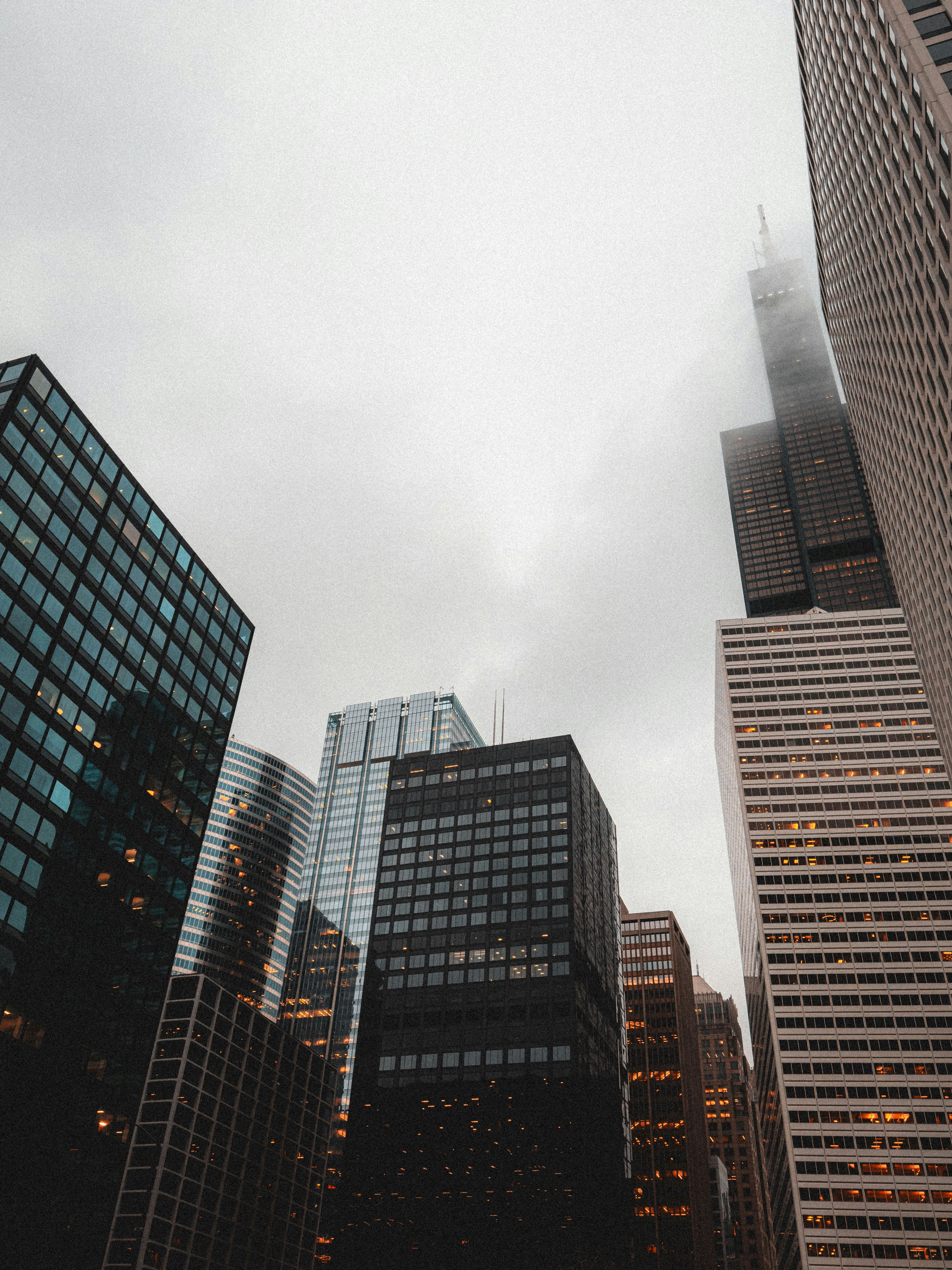 Photo by allenboguslavsky