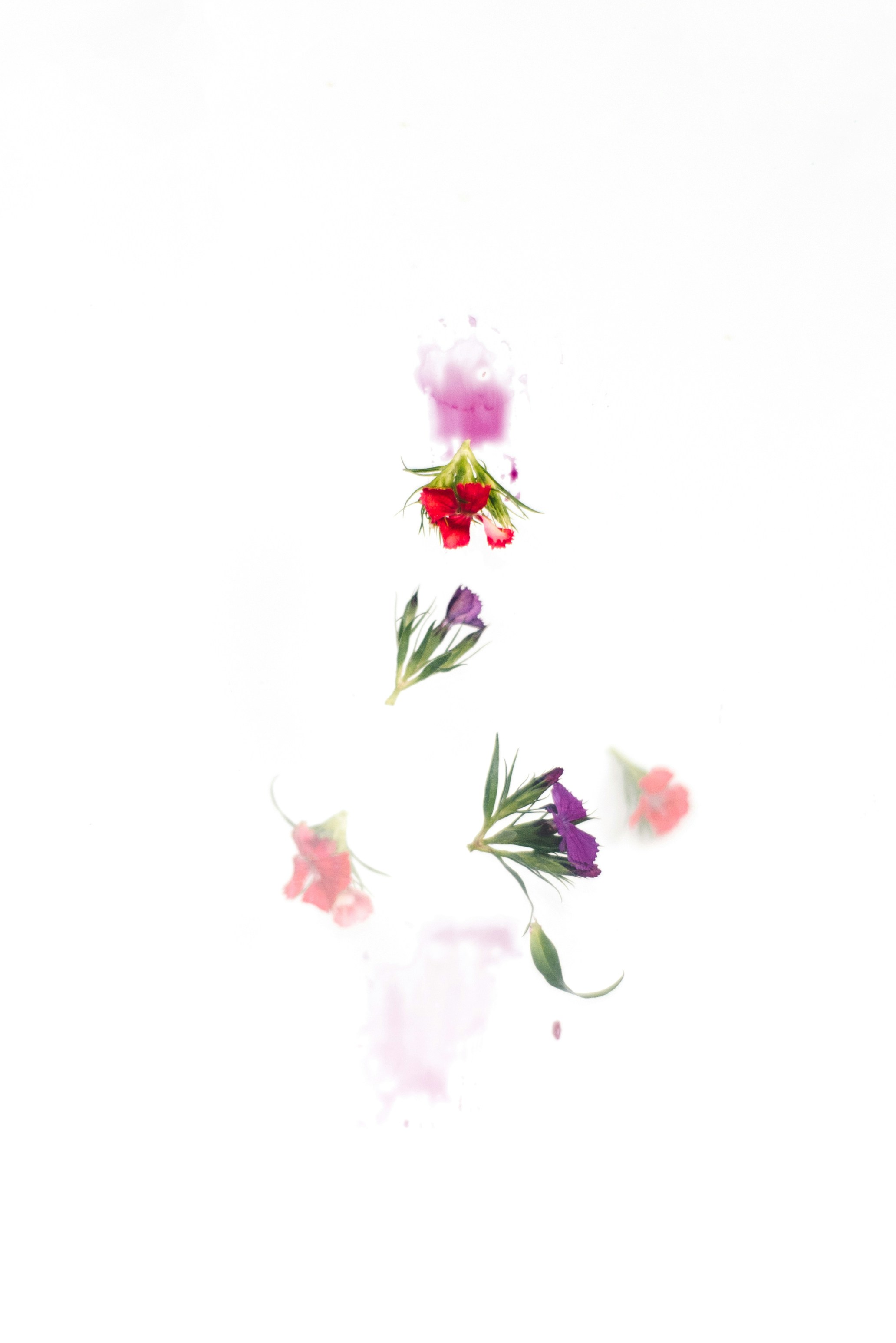 Photo by evieshaffer