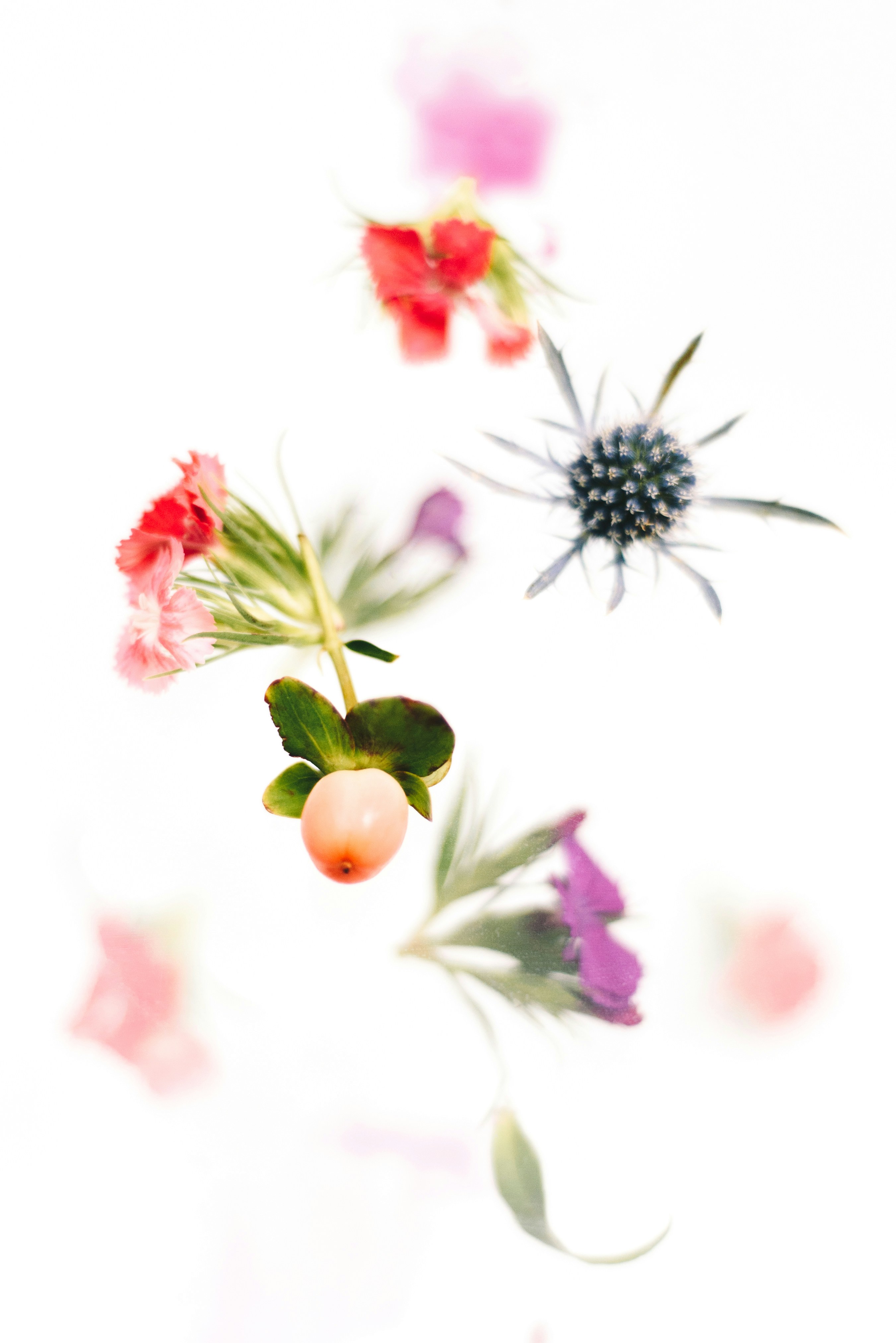 Photo by evieshaffer