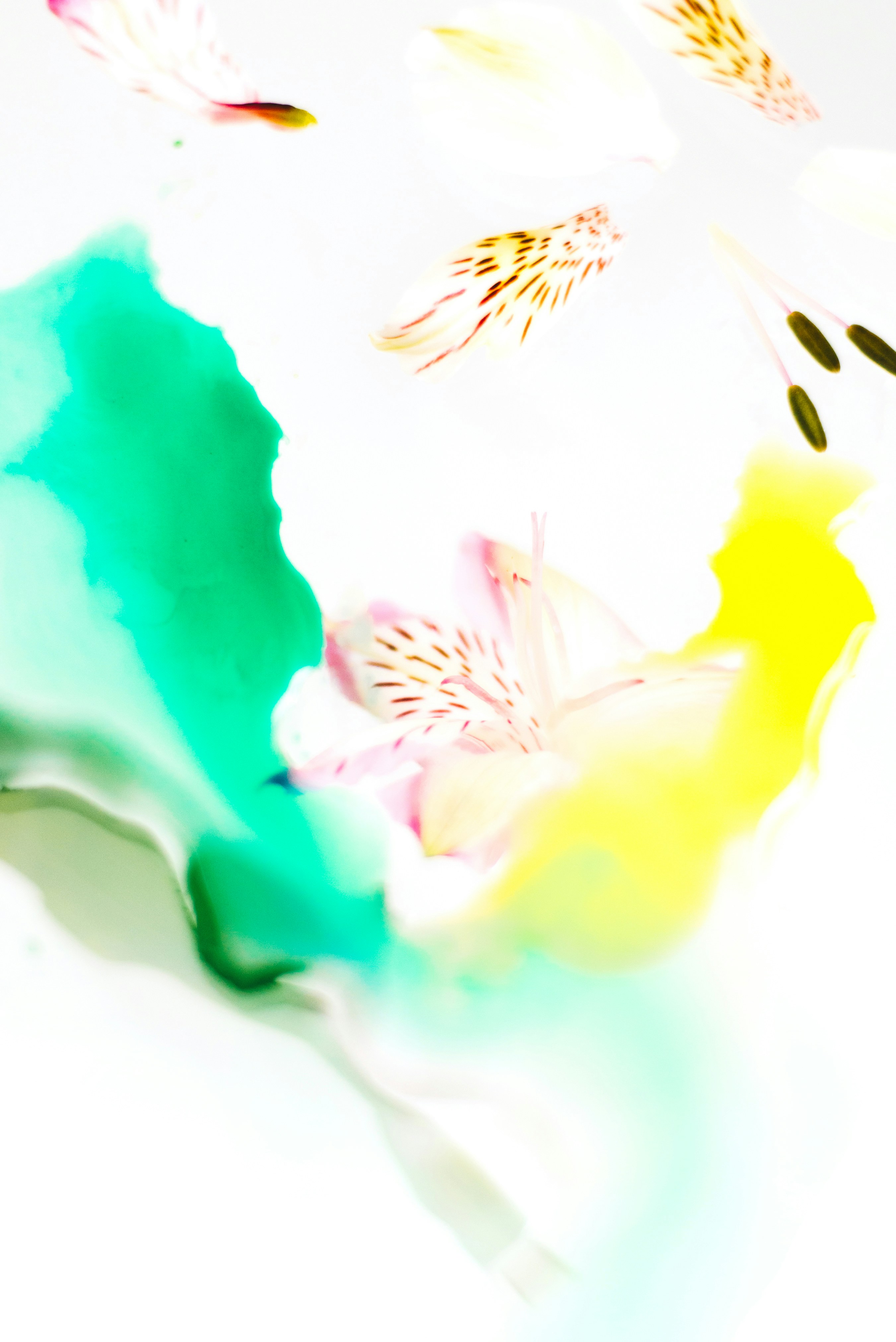 Photo by evieshaffer