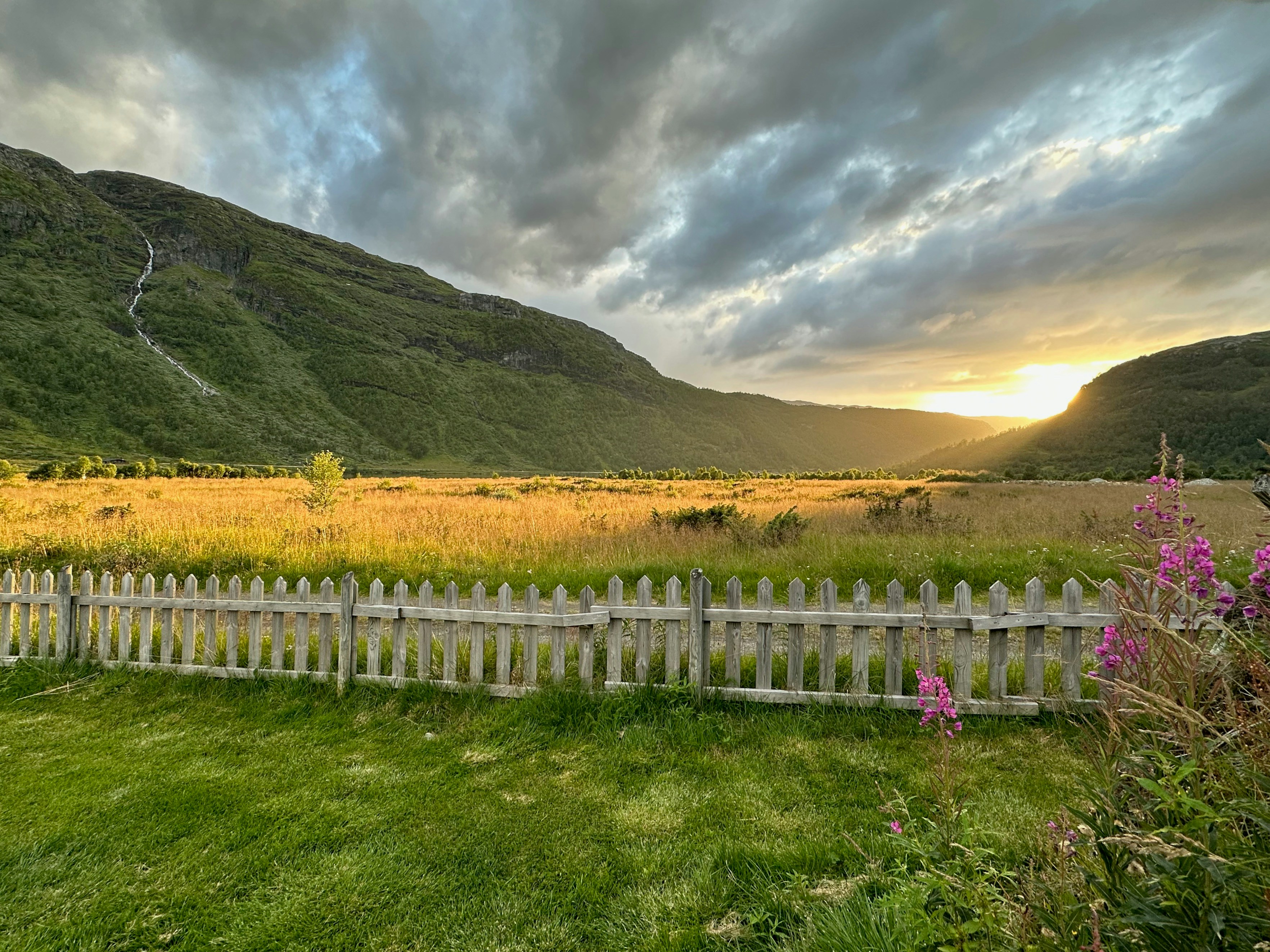 Una staccionata bianca seduta nel mezzo di un lussureggiante campo verde