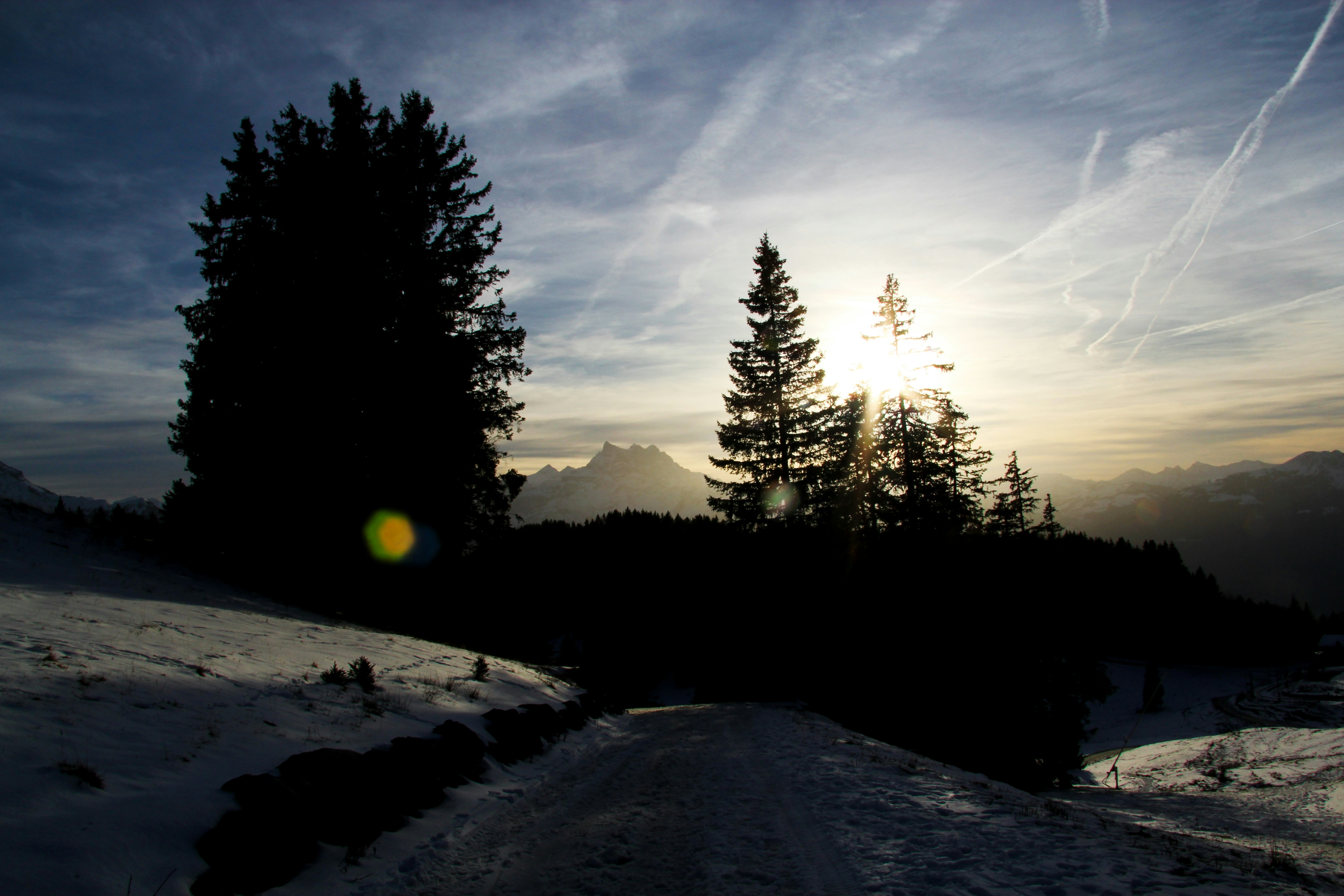 Photo by jomars