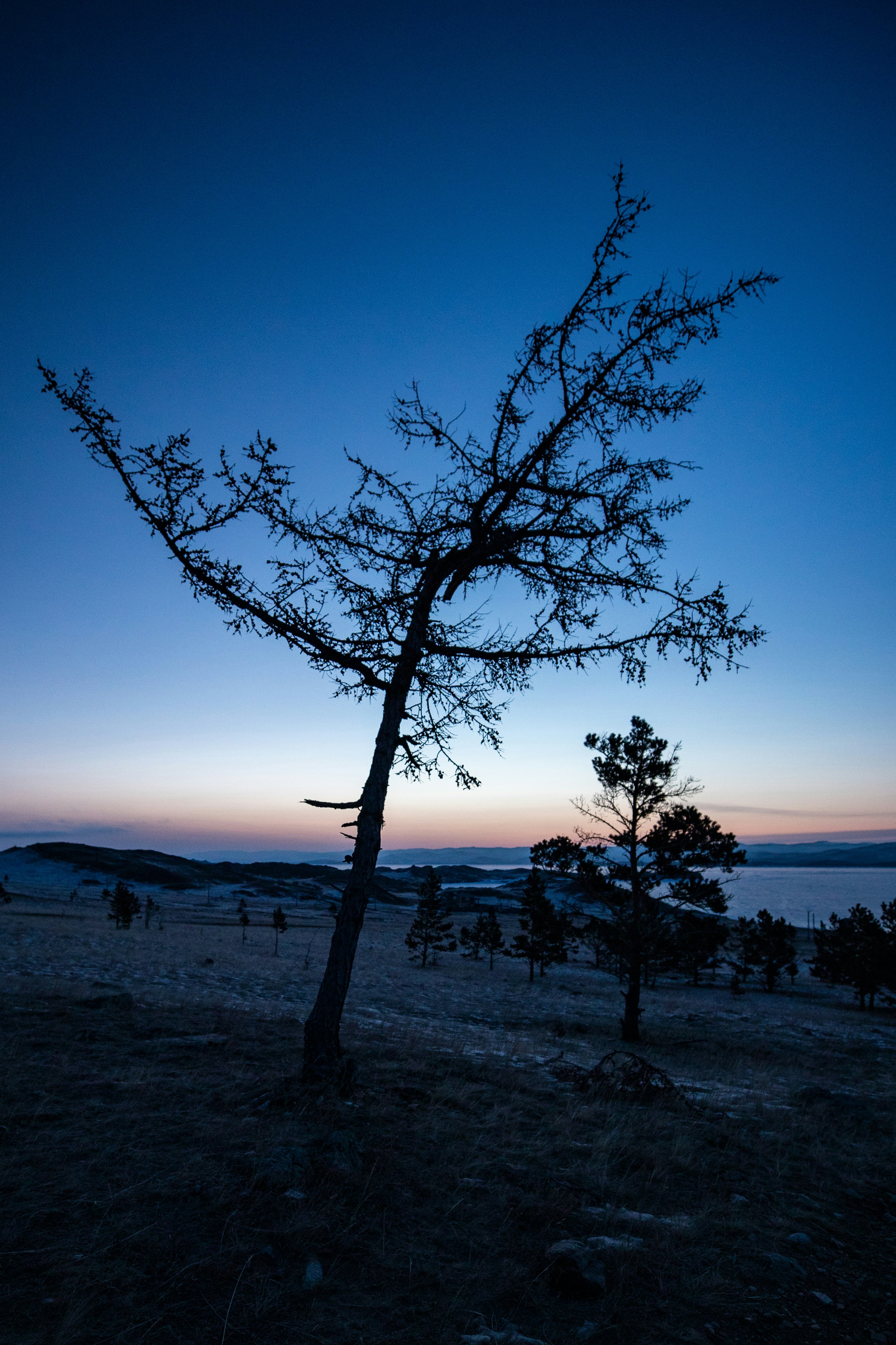 Photo by stef_enheart