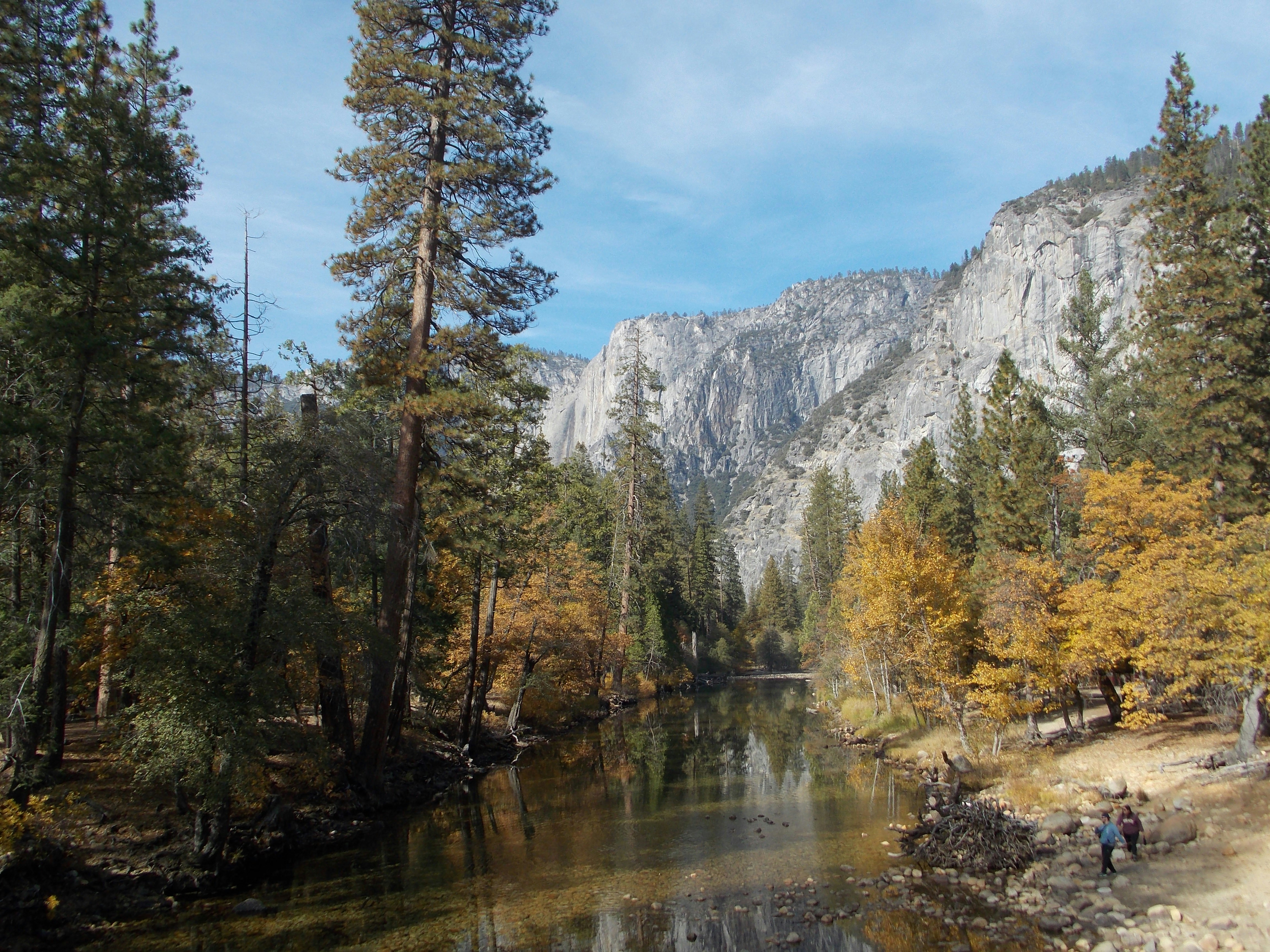 Photo by salinas_jonathan